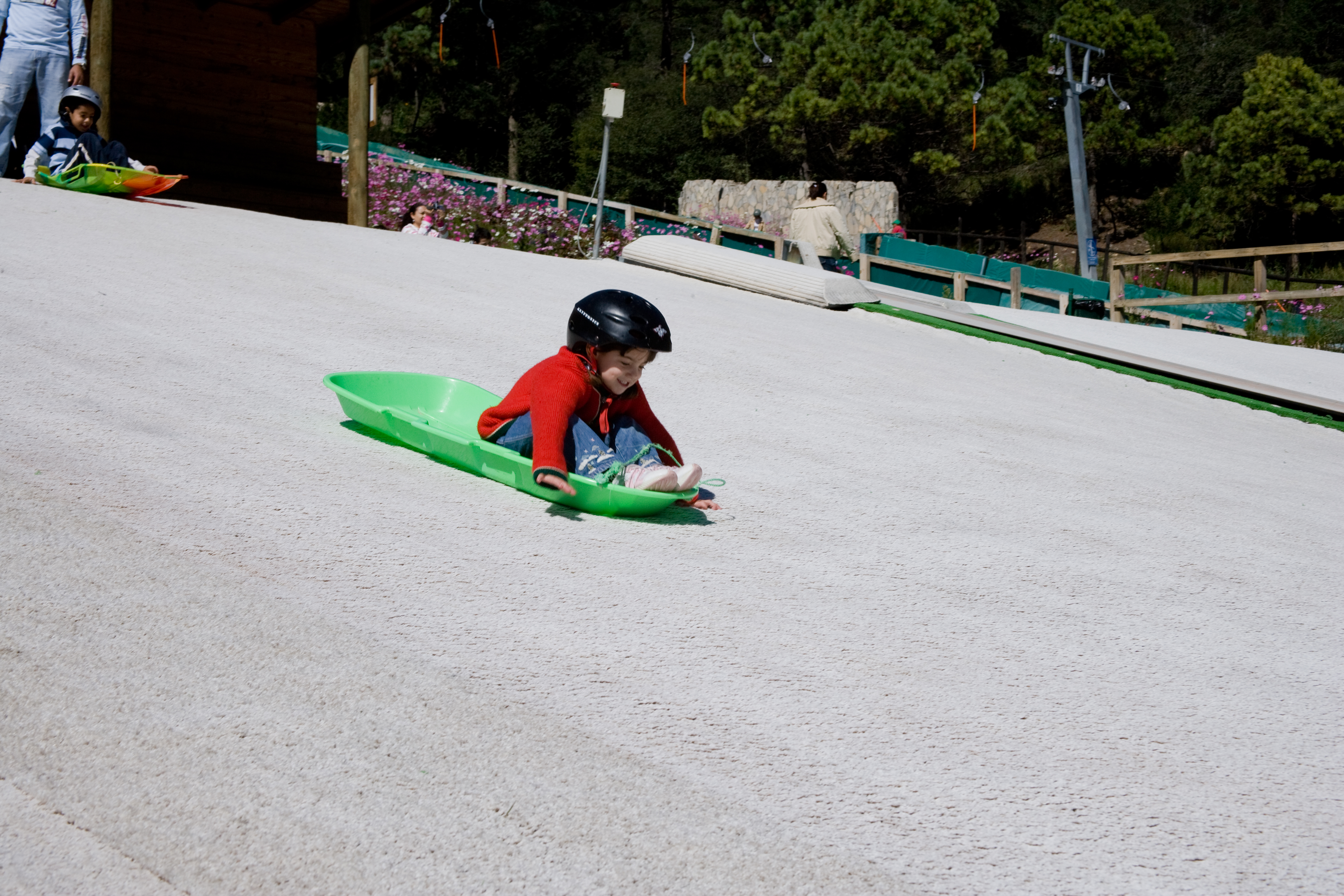 Sports and Entertainment