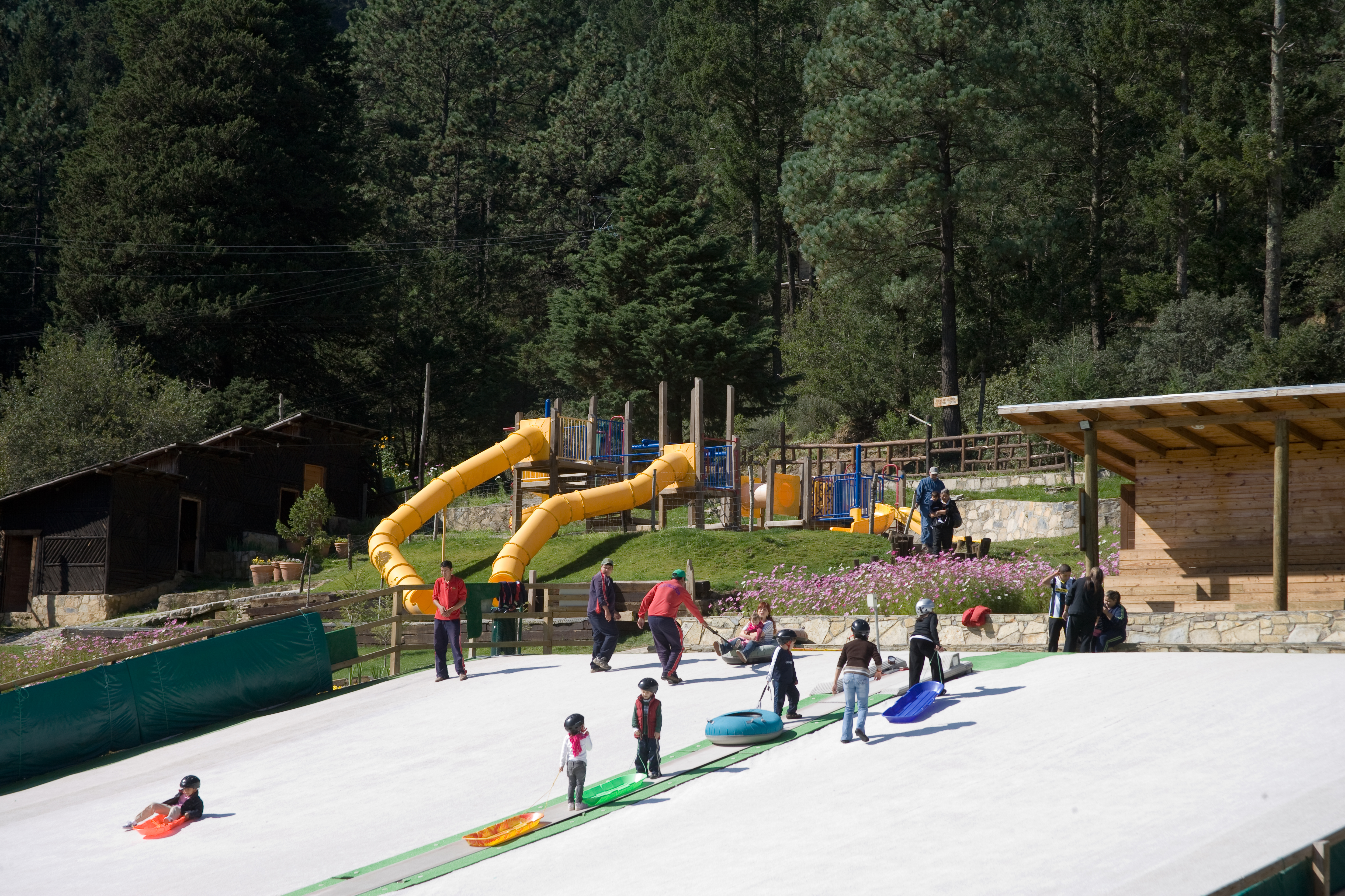 Sports and Entertainment