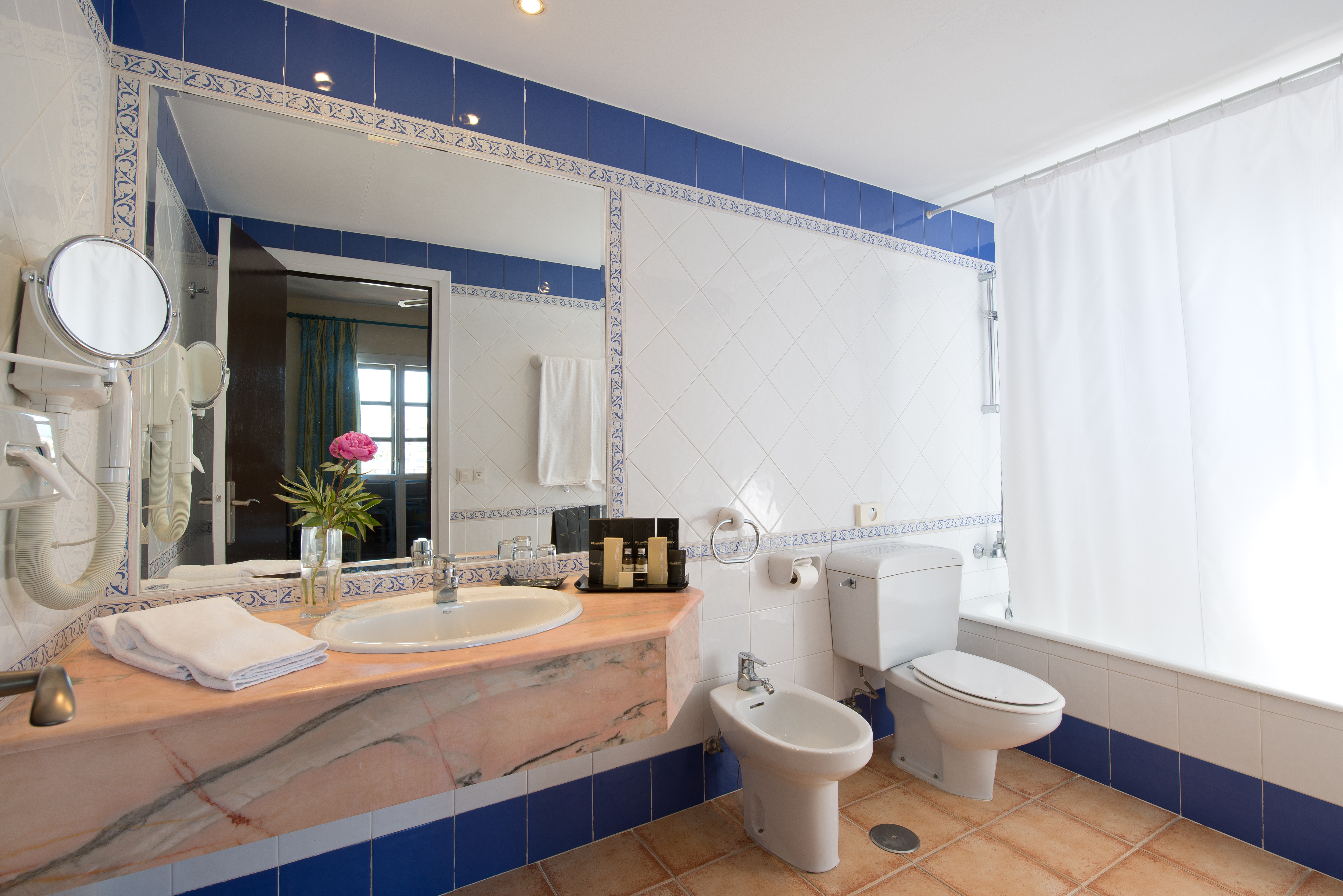 Double or Twin Economy