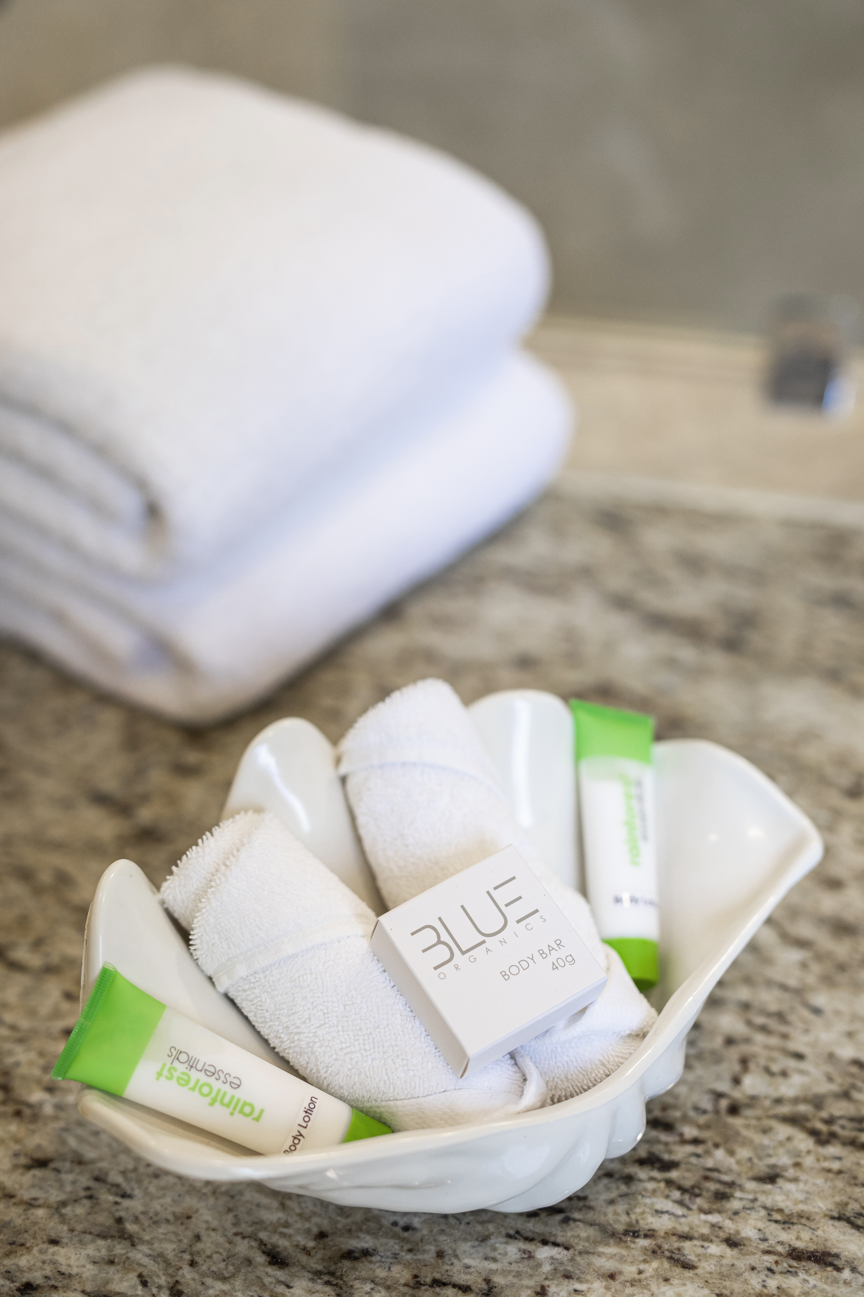 Double Deluxe Partial Ocean View