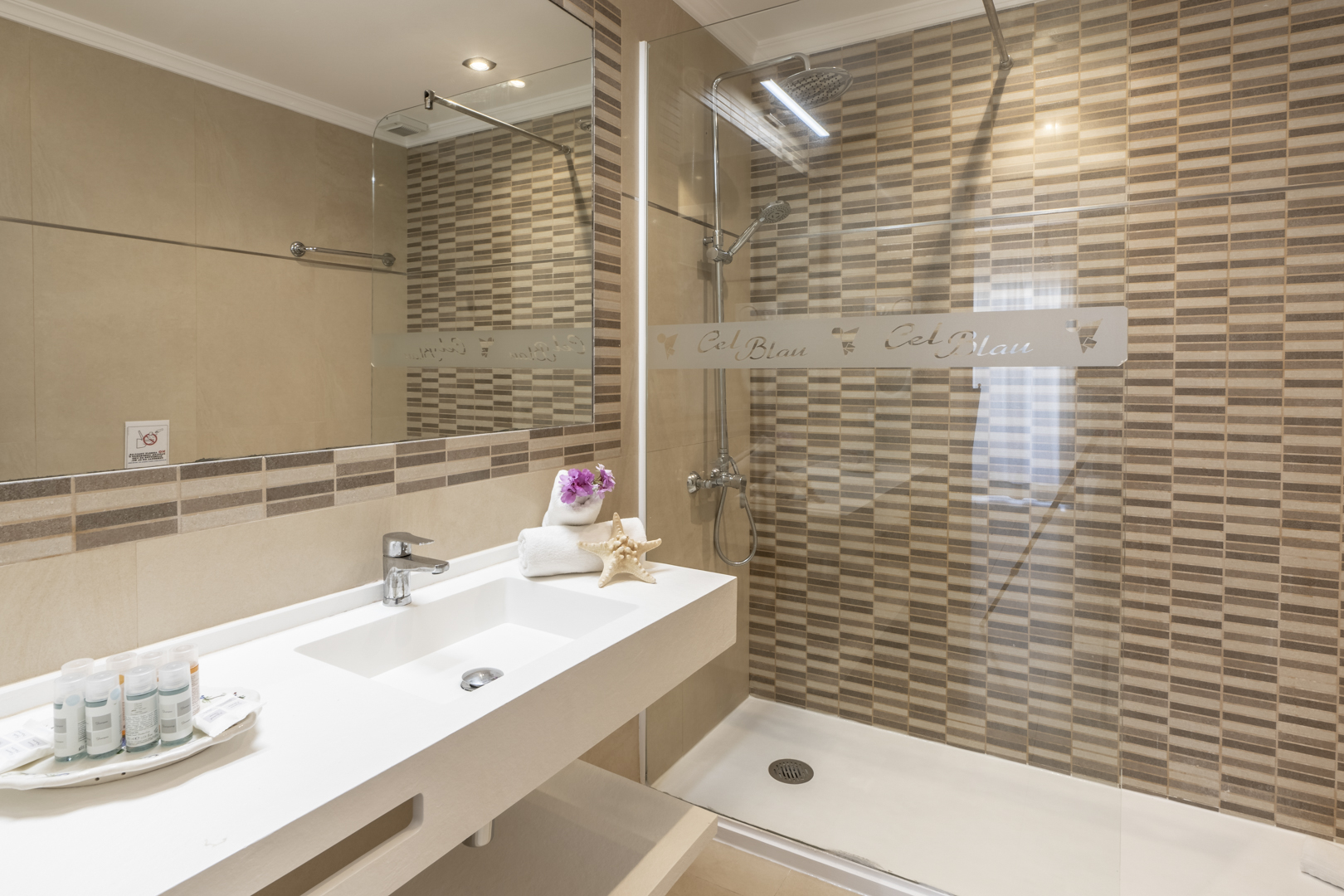 Apartment Two Bedrooms with Terrace