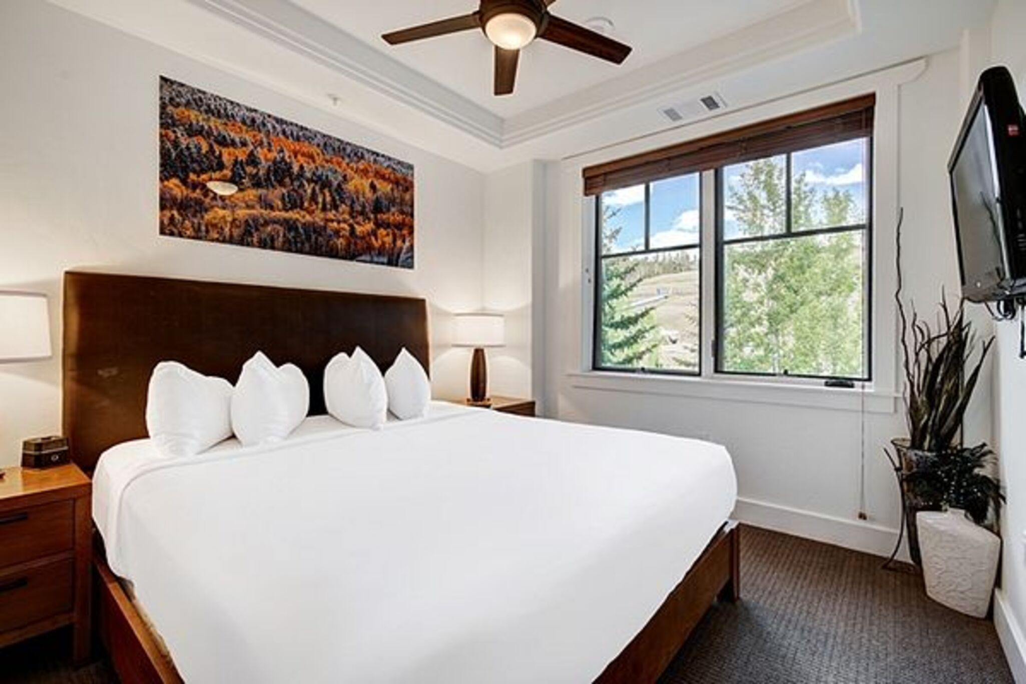 Double Four Bedrooms