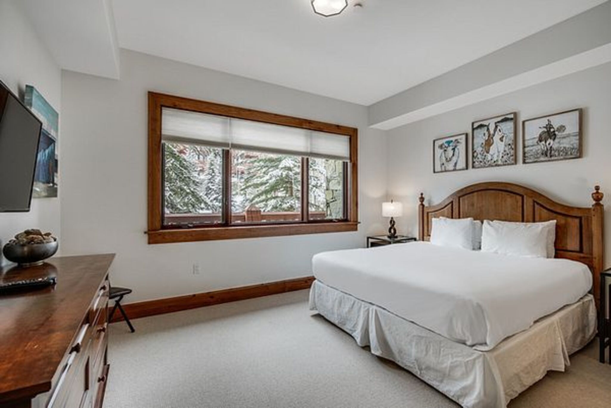 Apartment One Bedroom