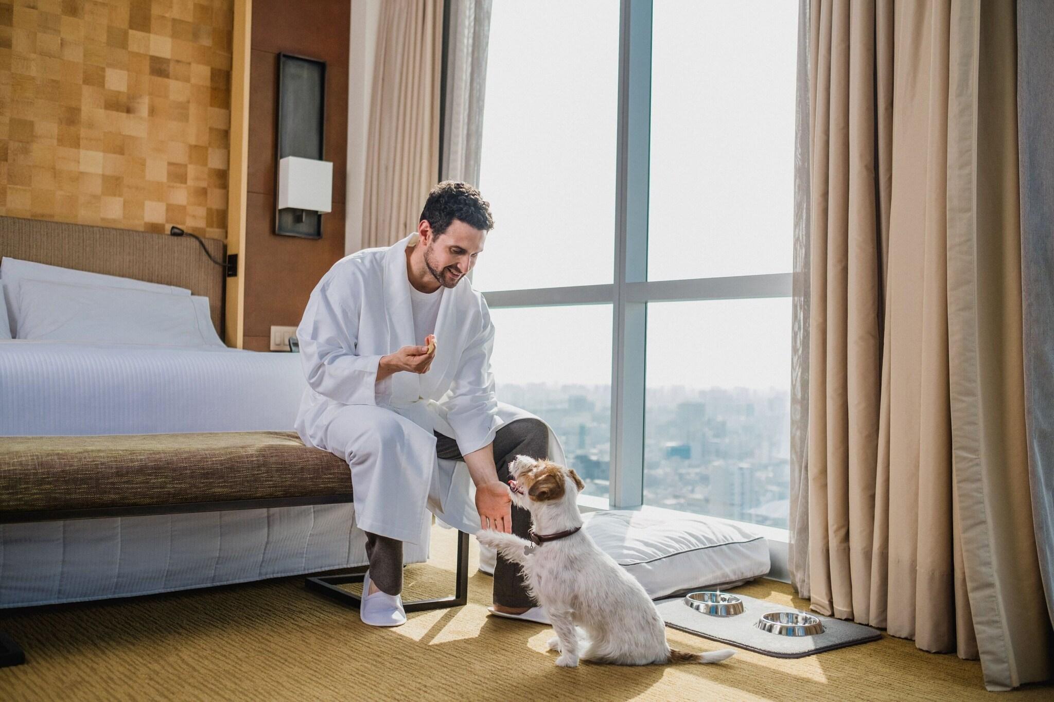 Double Deluxe King Bed