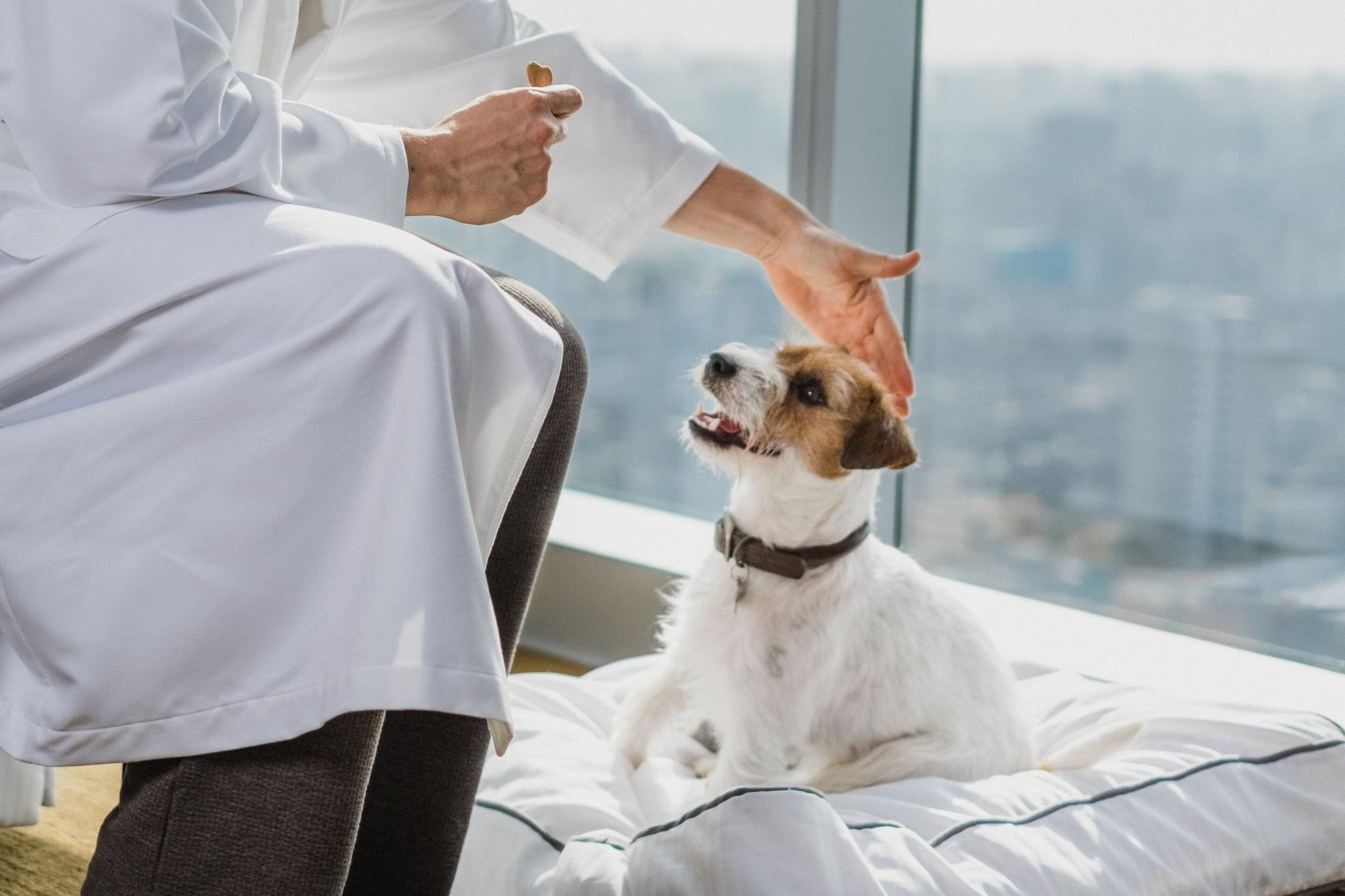 Double Deluxe King Bed