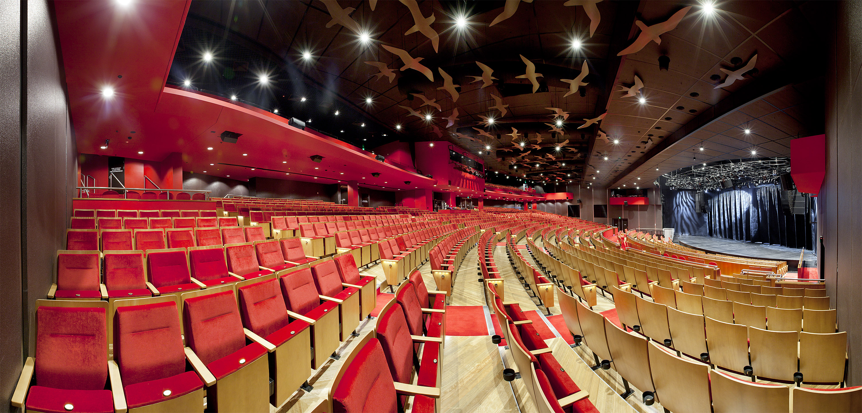 Sports and Entertainment