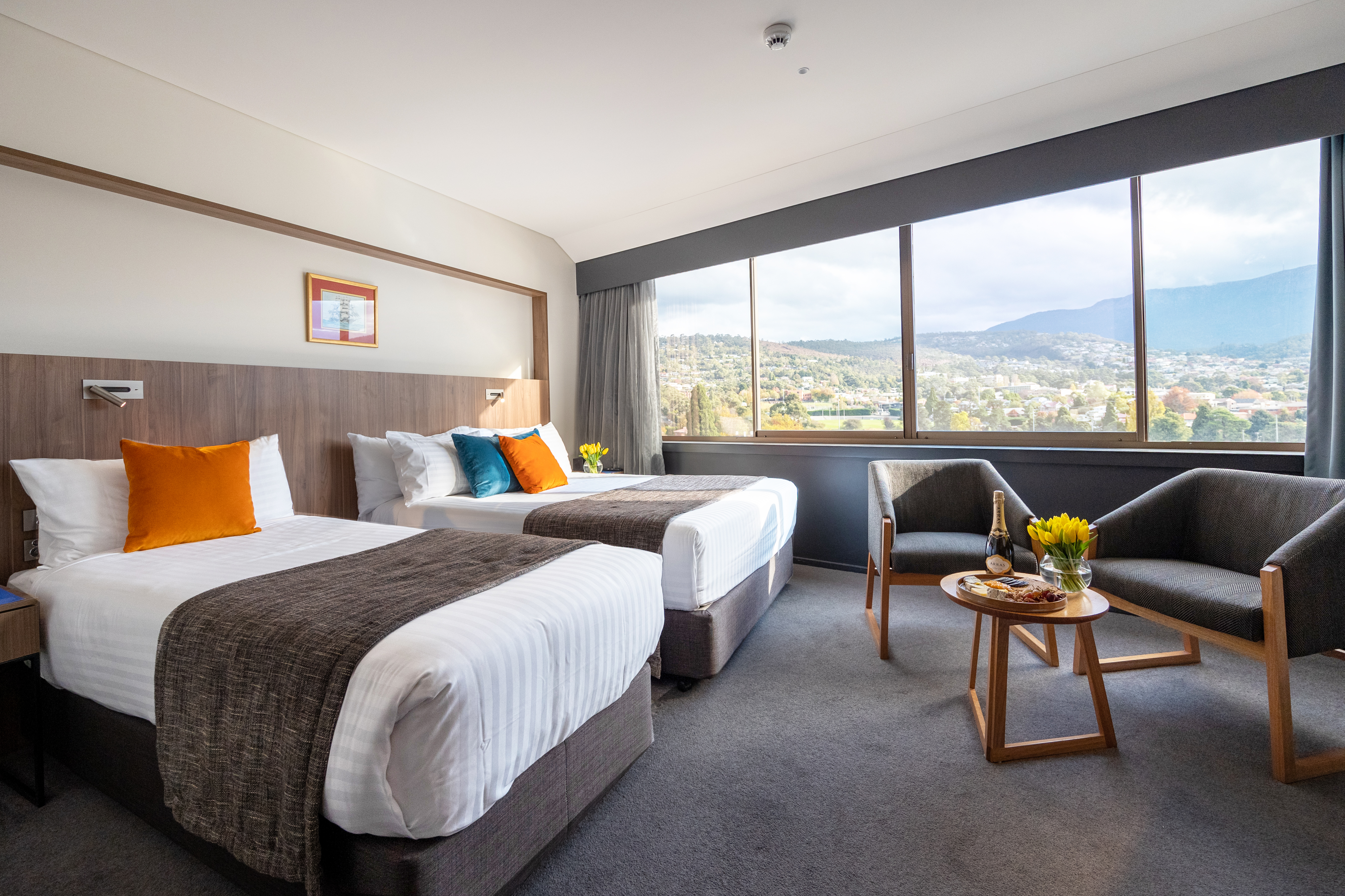 Twin Deluxe Mountain View