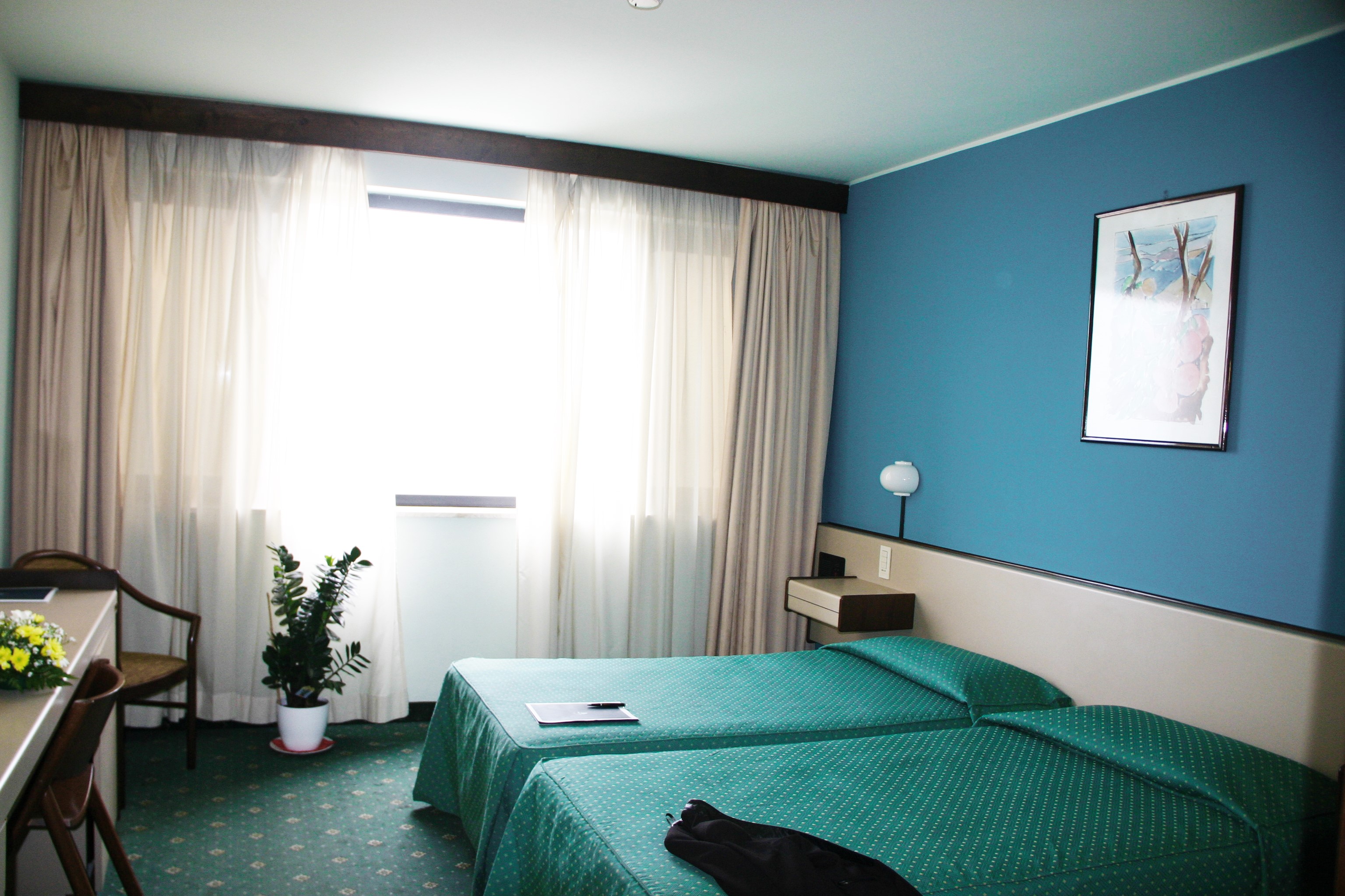 Double or Twin Standard