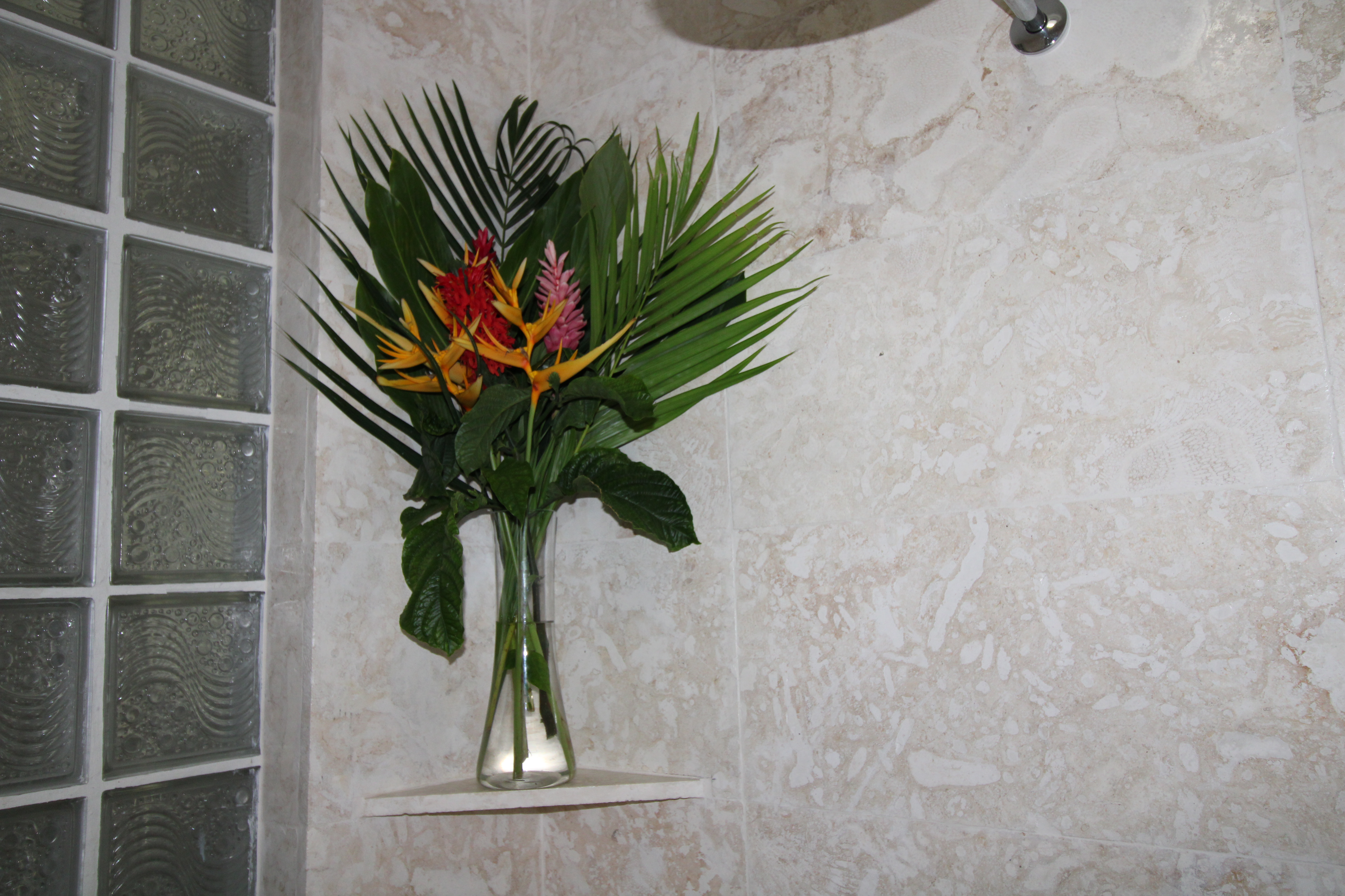 Apartment One Bedroom