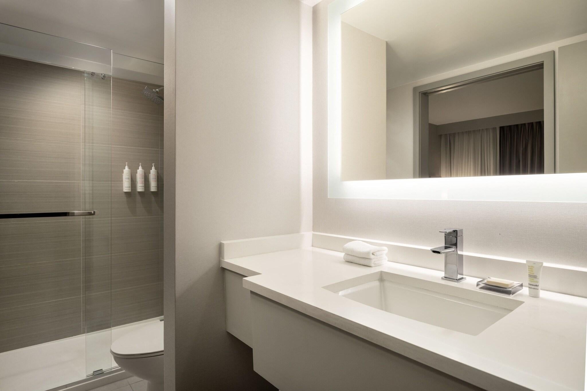 Suite Accessible King Size Bed