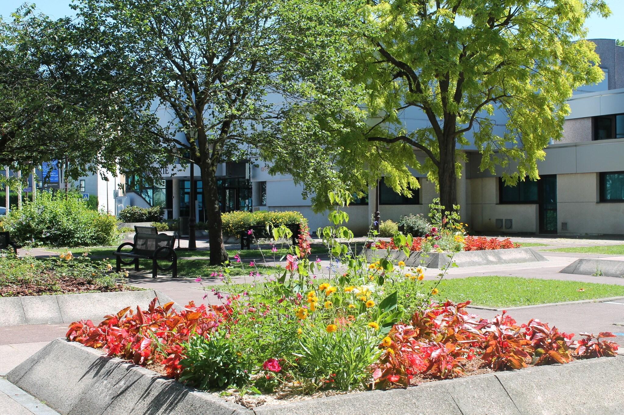 Family Room Two Double Beds