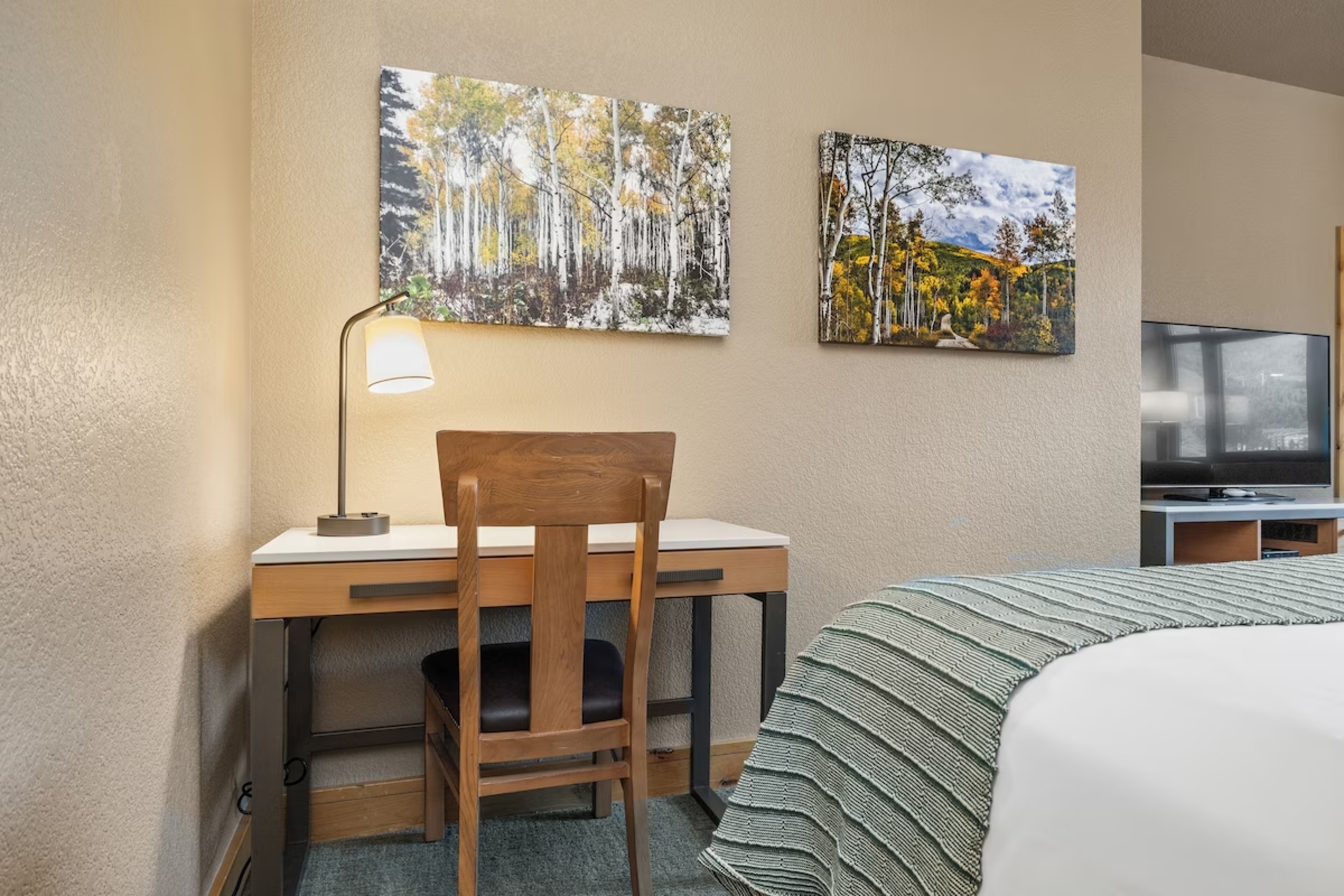 Apartment Two Queen Beds One Bedroom