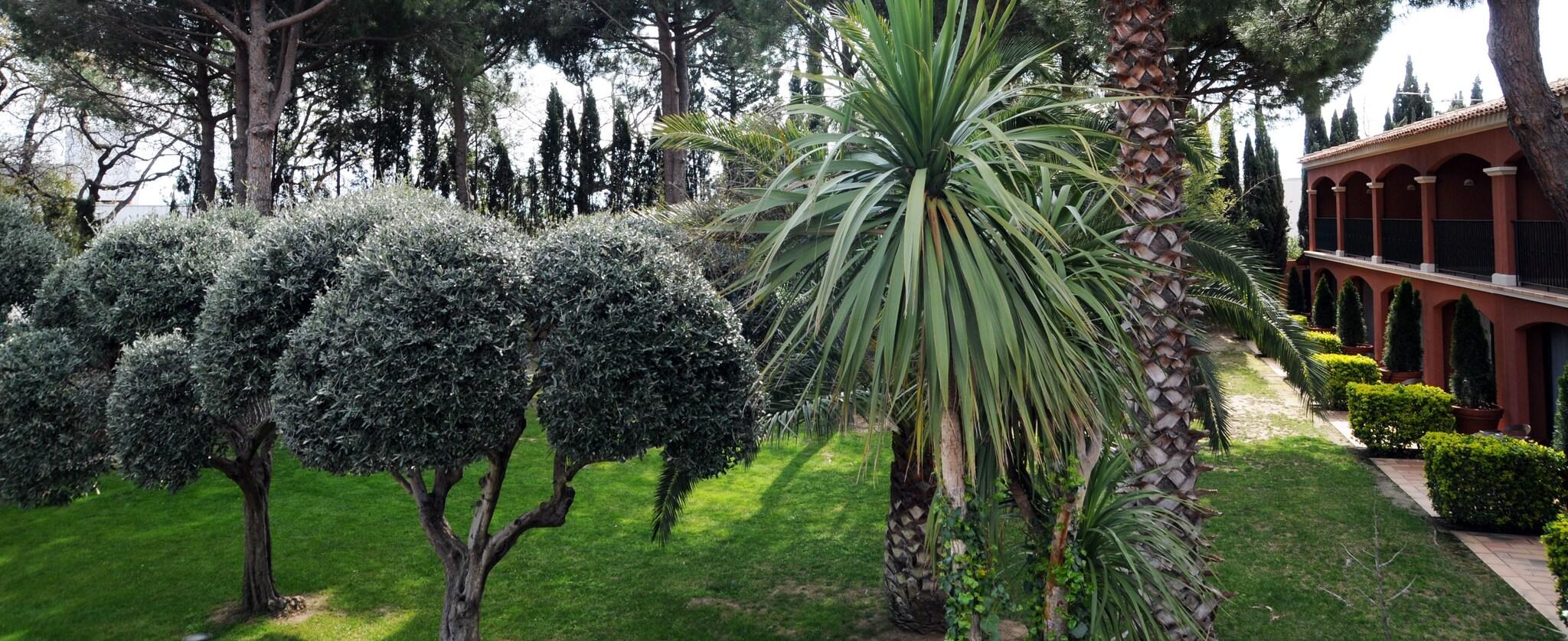 Double Executive Queen Bed