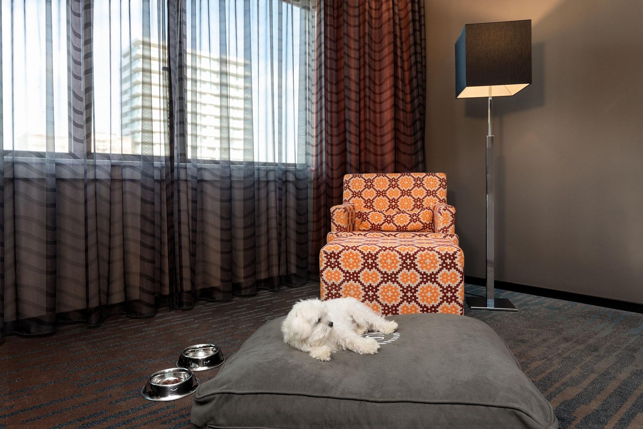 Suite Executive King Bed