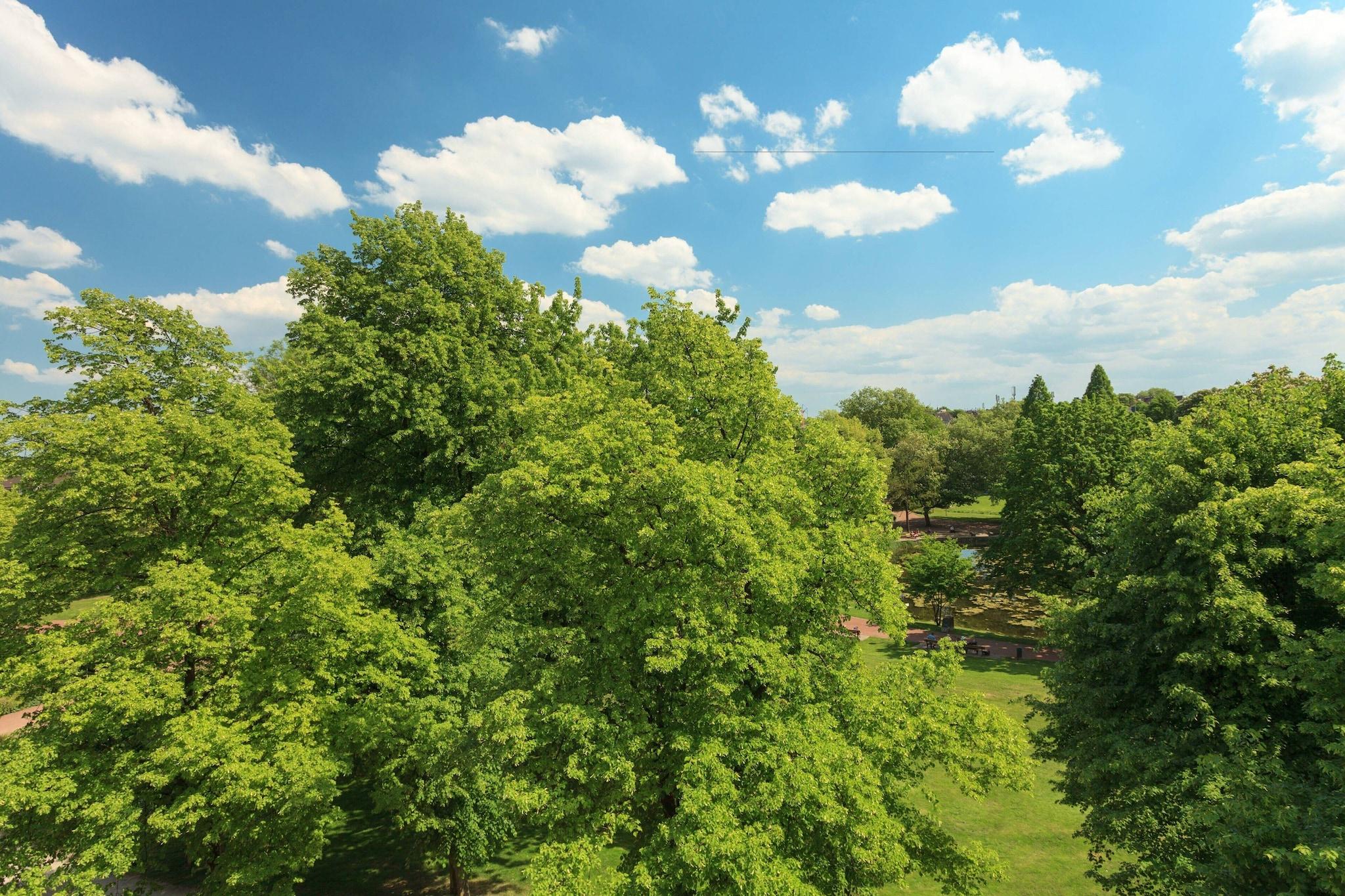 Twin Superior City View