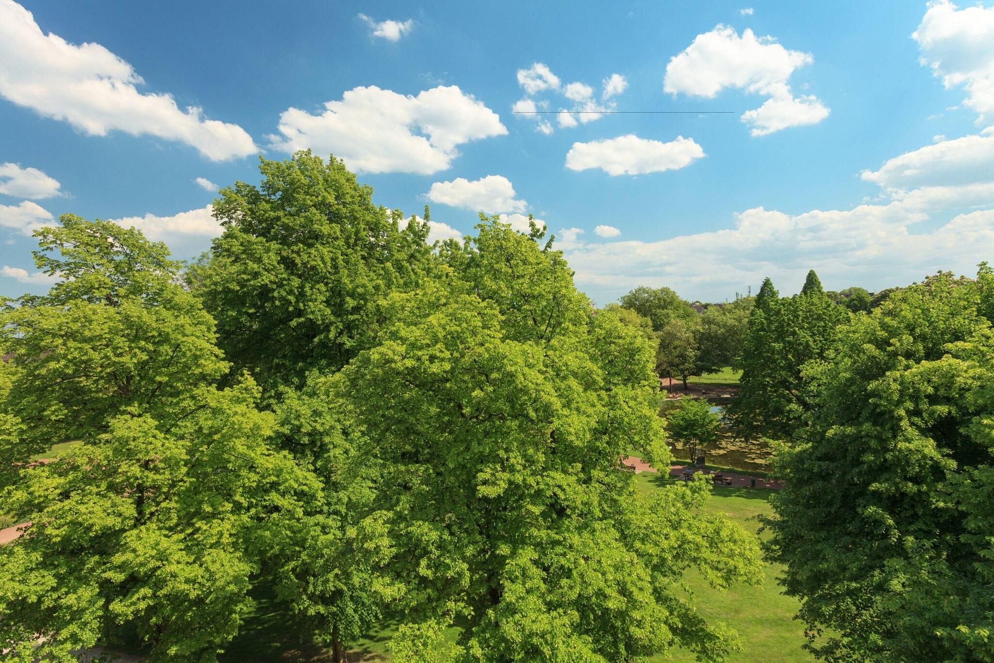 Twin Superior City View