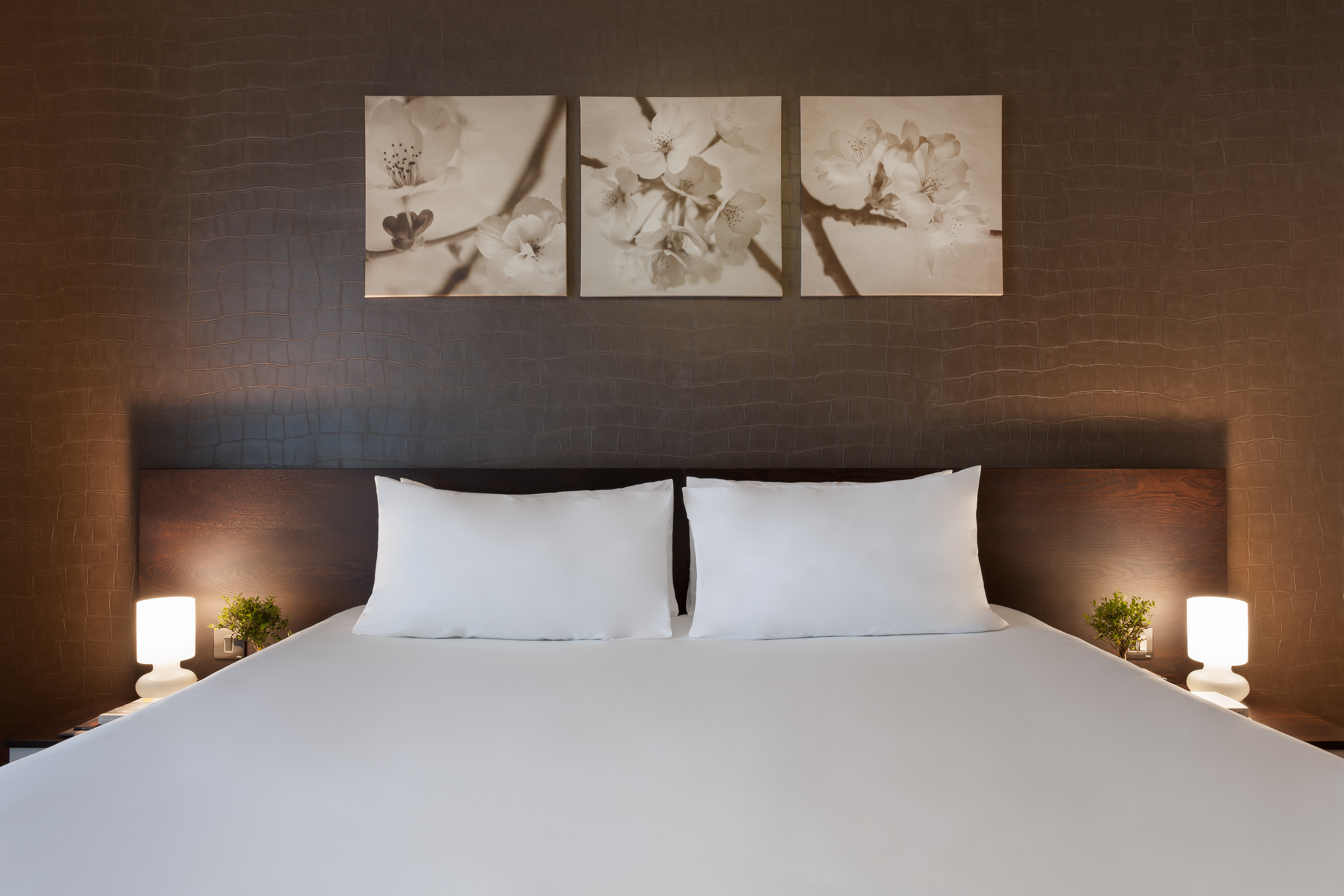 Double or Twin Executive