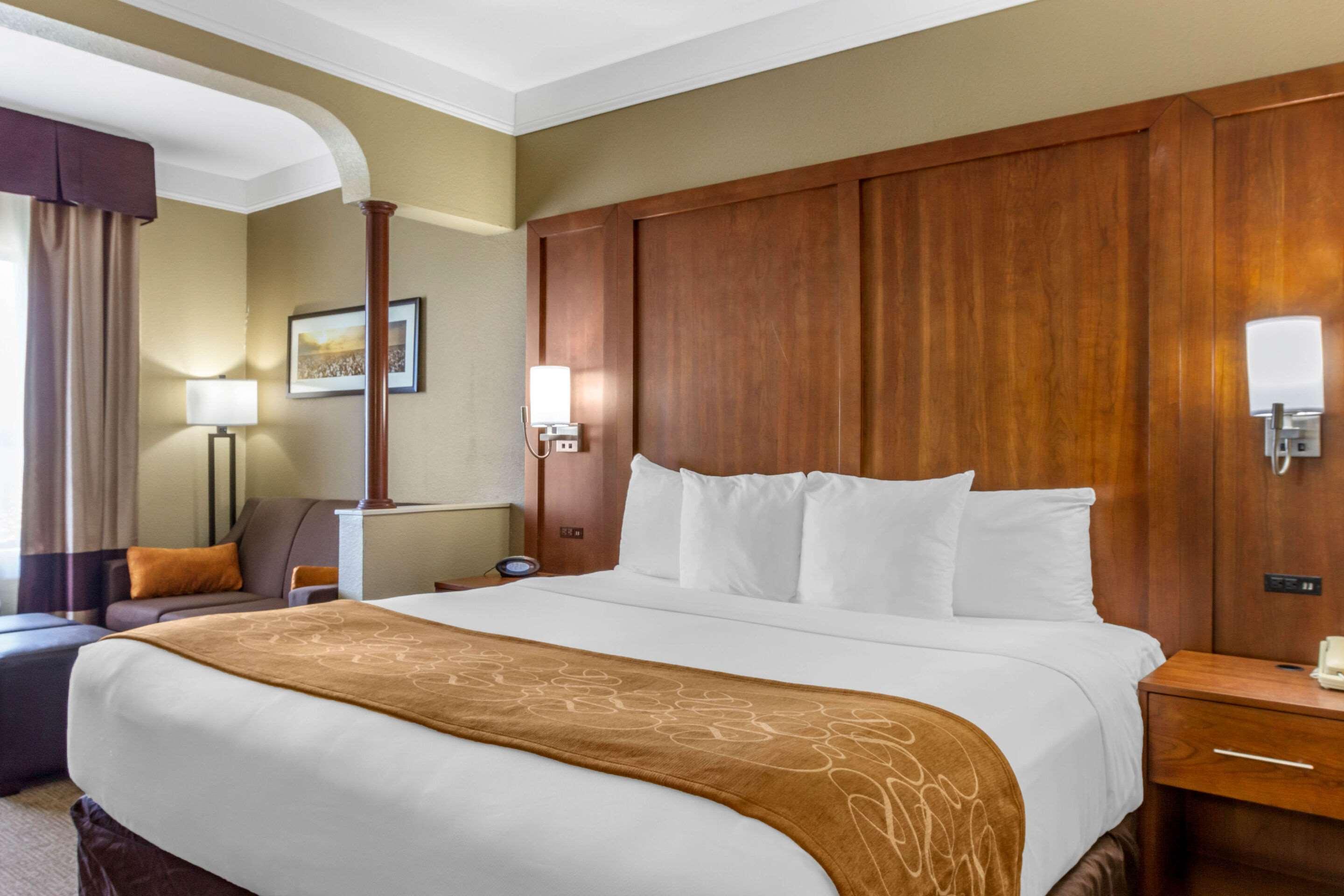 Suite King Bed Non Smoking