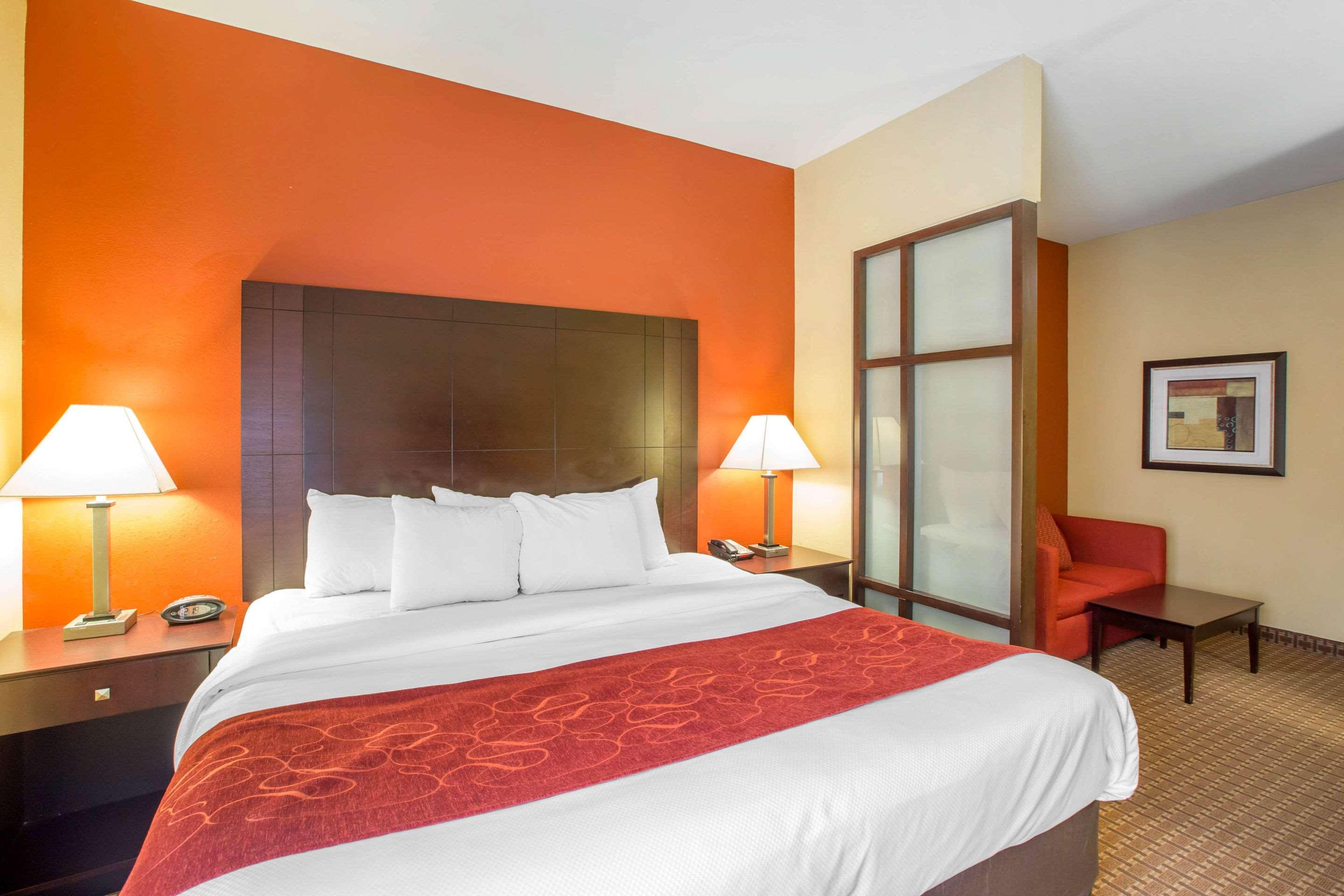 Suite King Bed Non Smoking