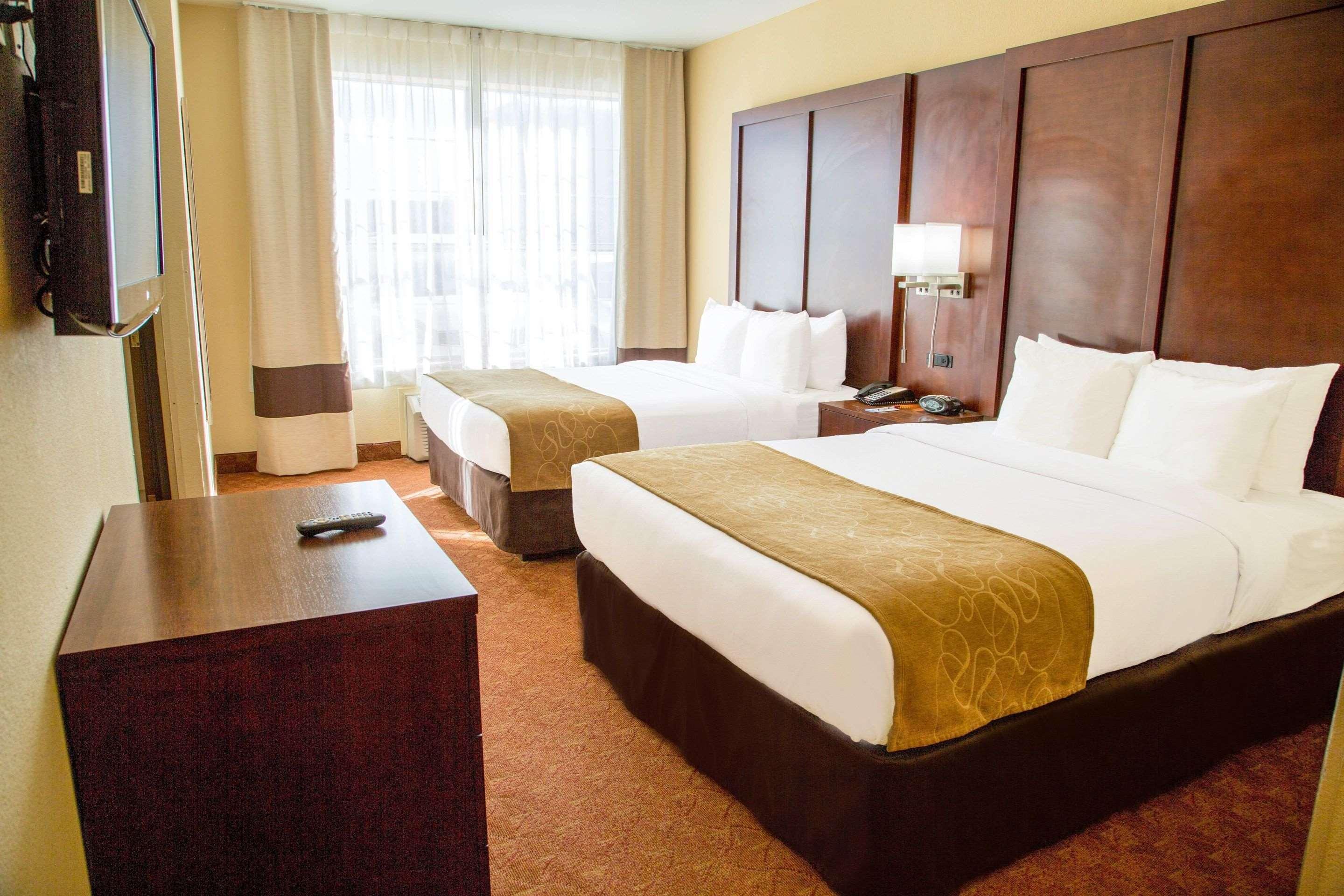 Suite Two Queen Beds Non Smoking