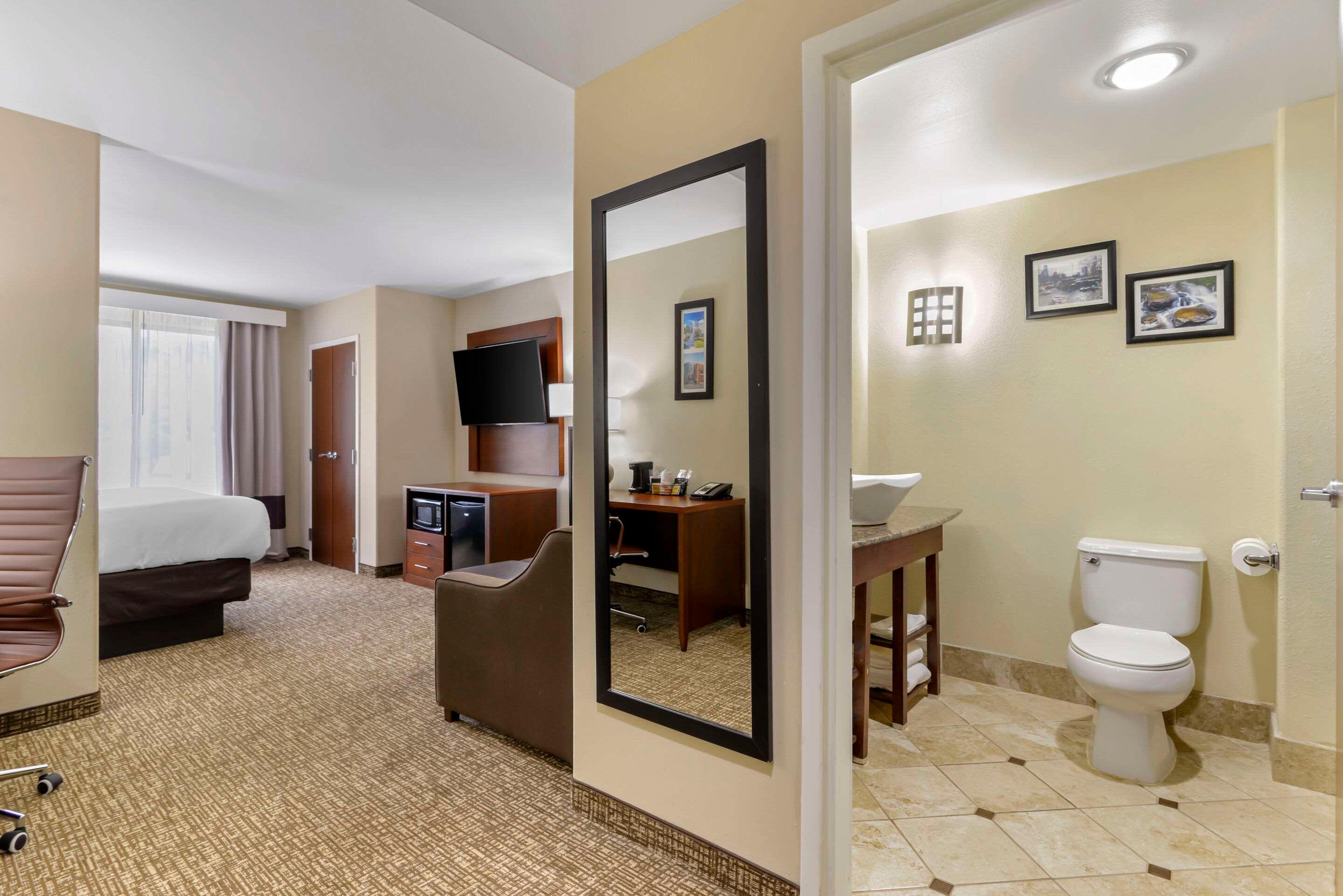 Suite King Bed Non Smoking