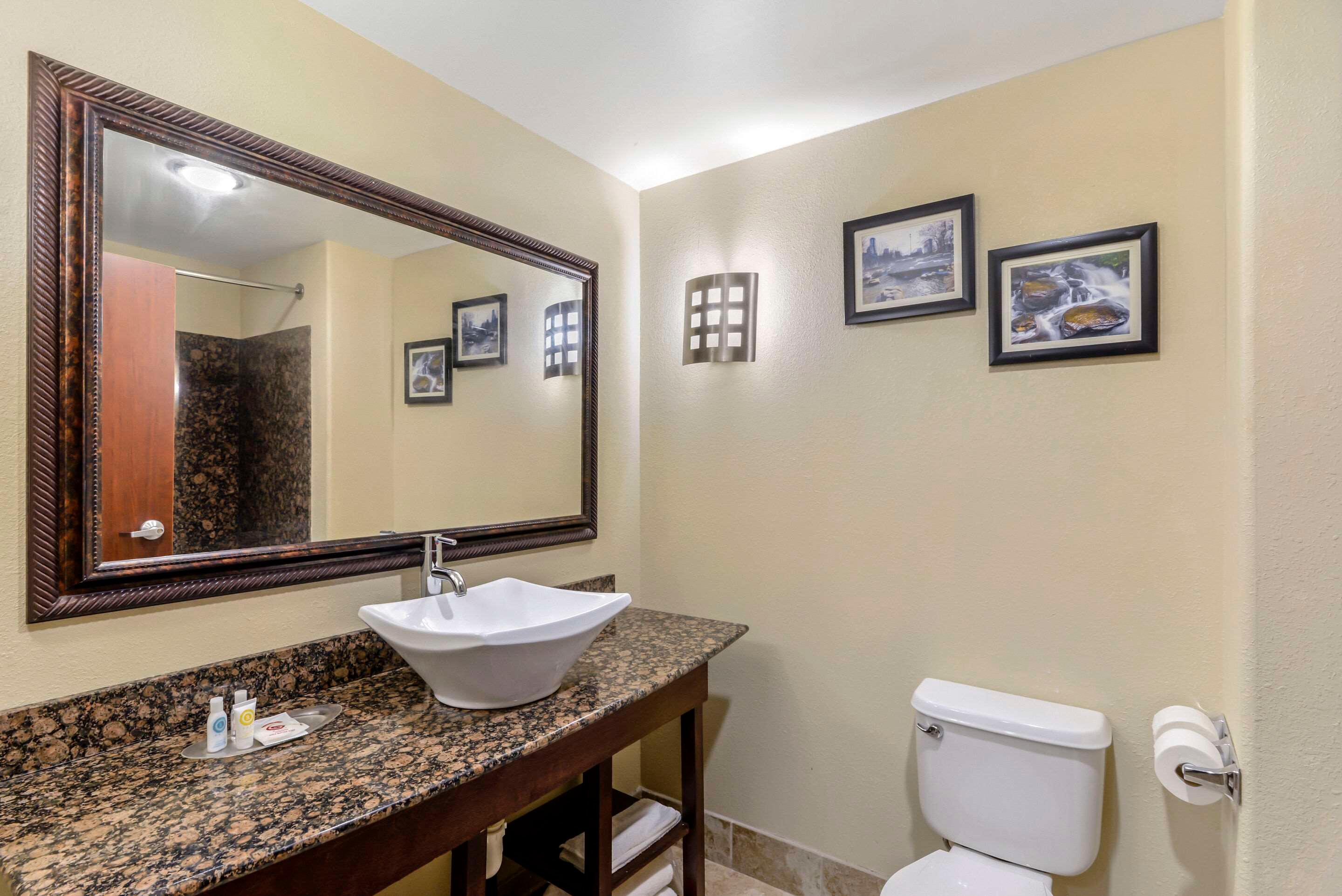 Suite King Bed Non Smoking