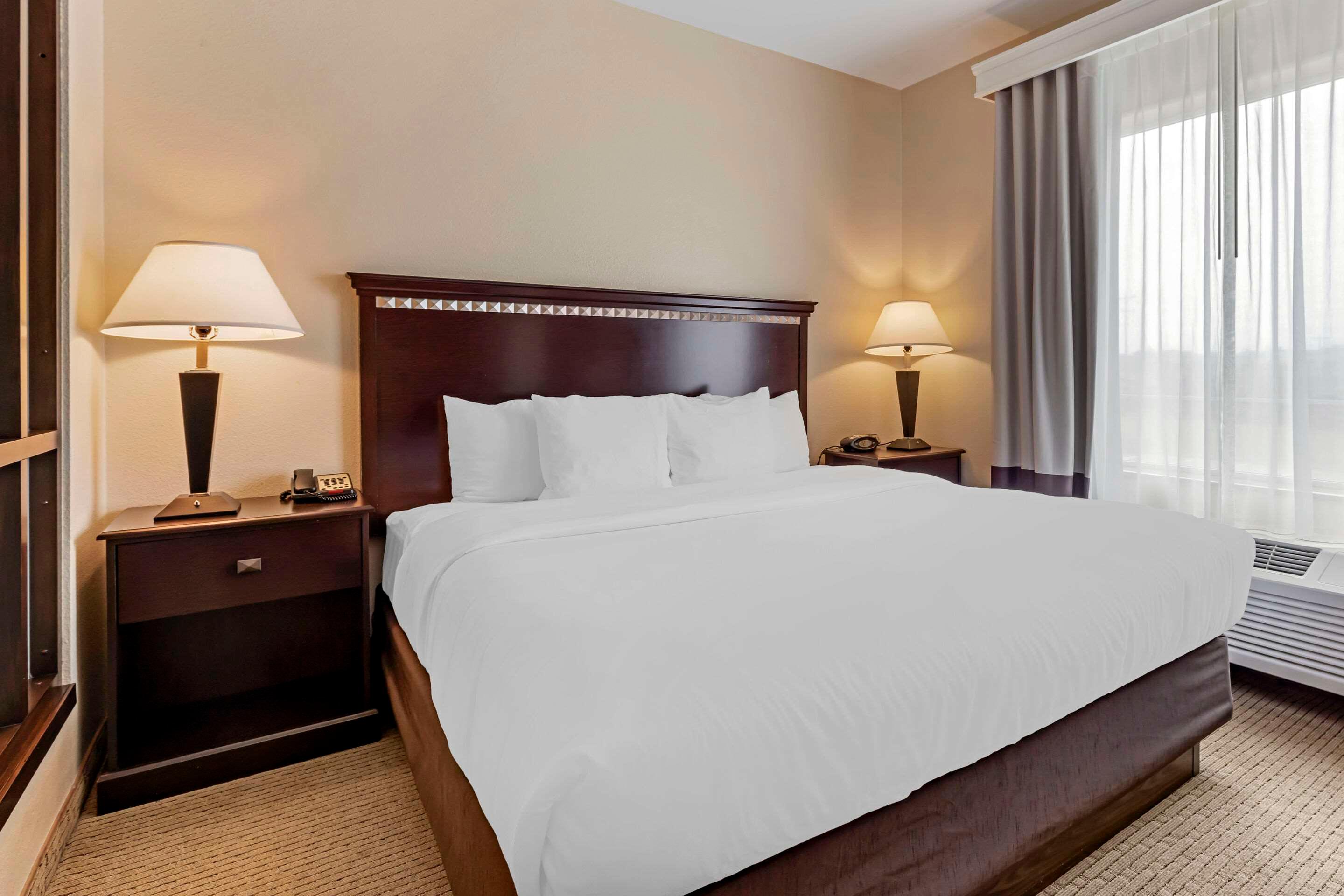 Suite King Bed Non Smoking