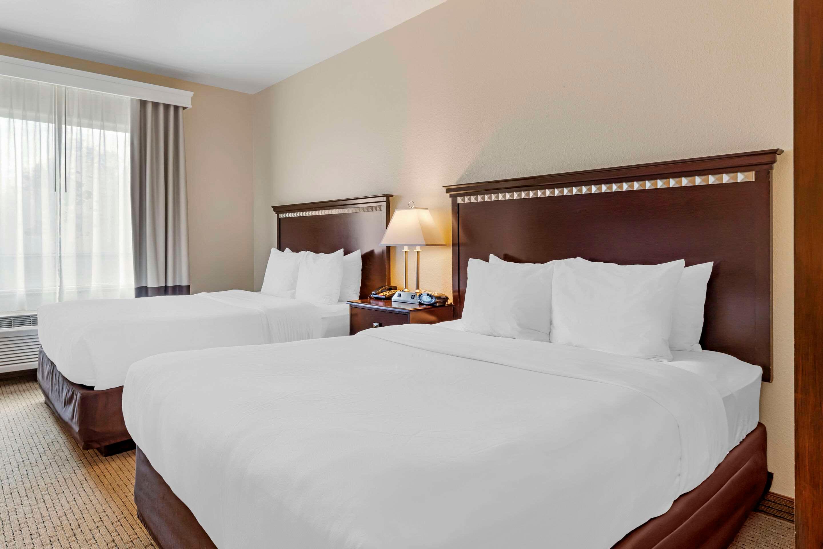 Suite Two Queen Beds