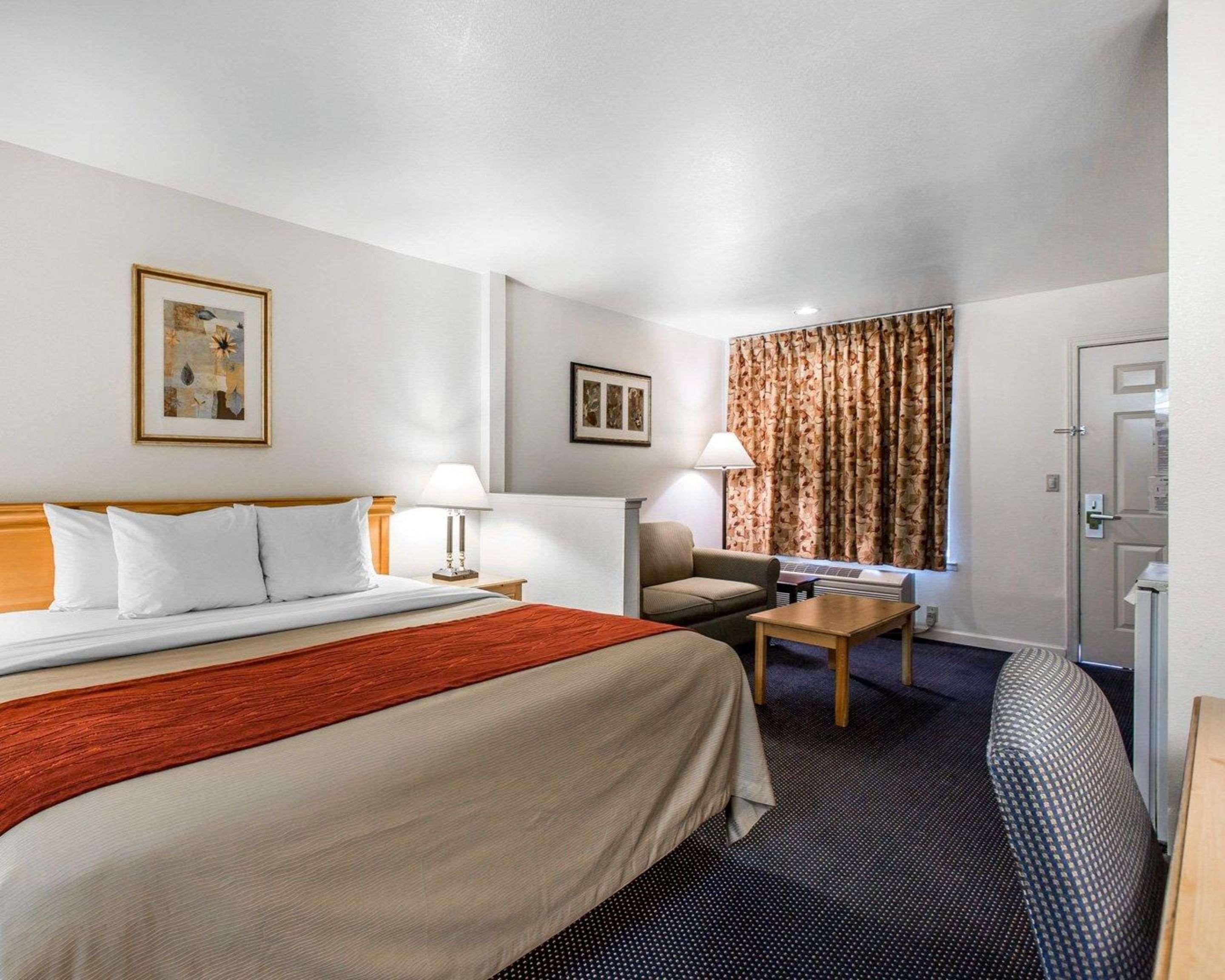 Suite King Bed Non Smoking