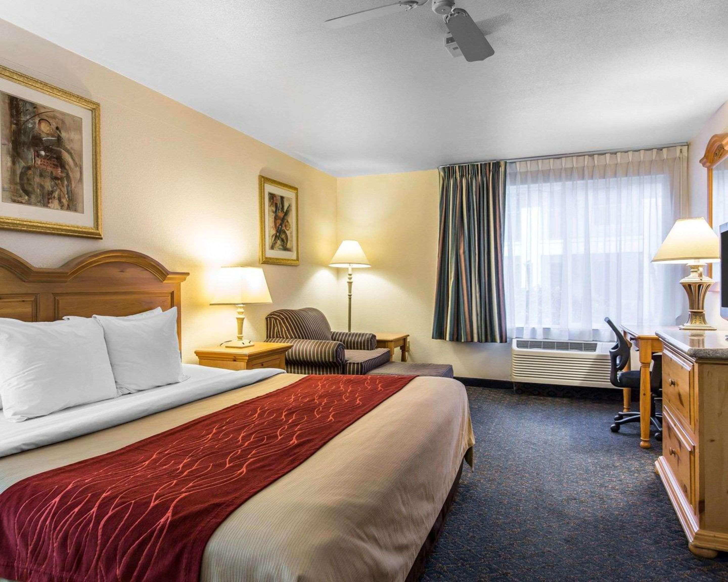 Room Accessible King Size Bed