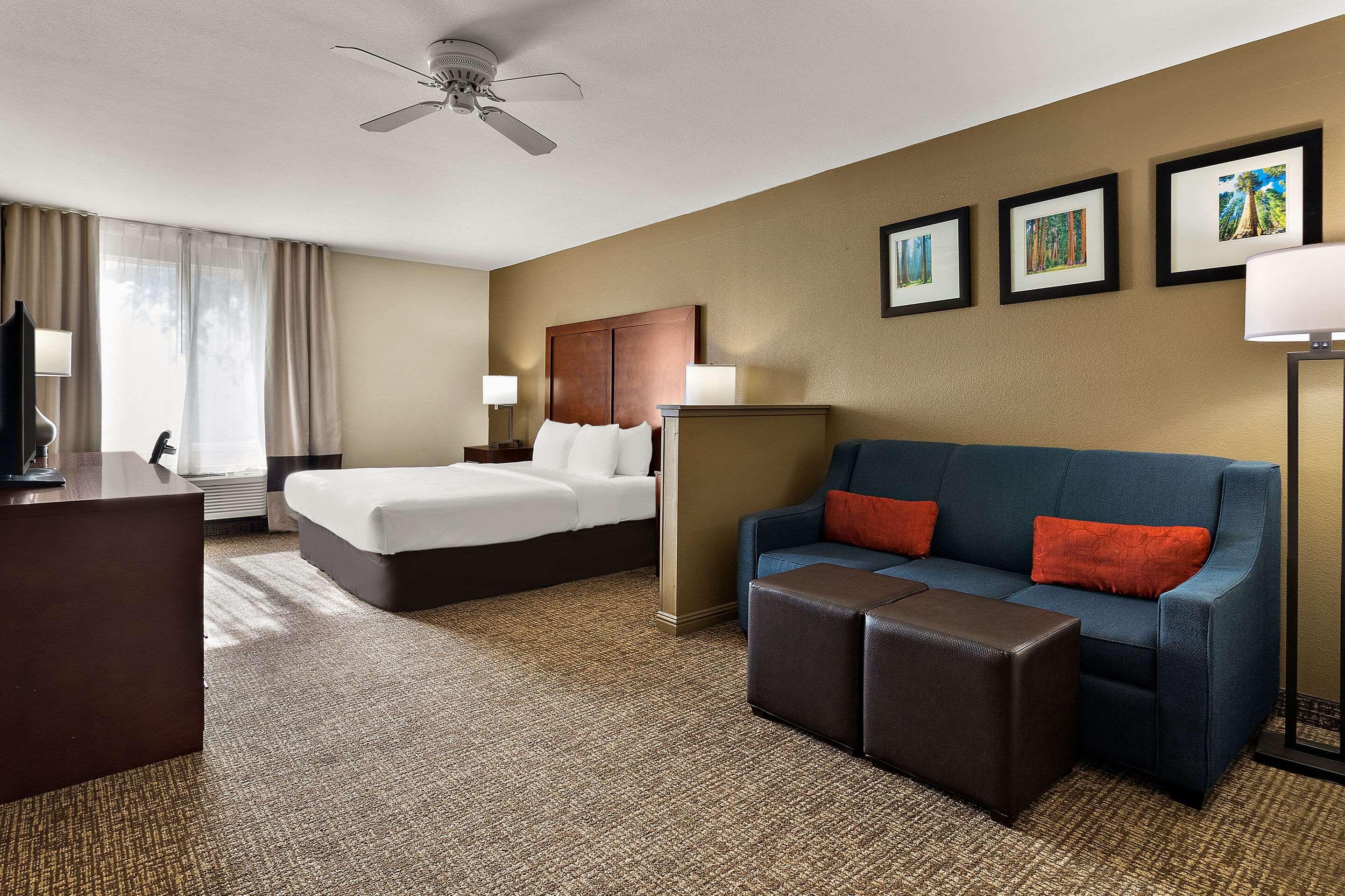 Suite King Bed Non Smoking