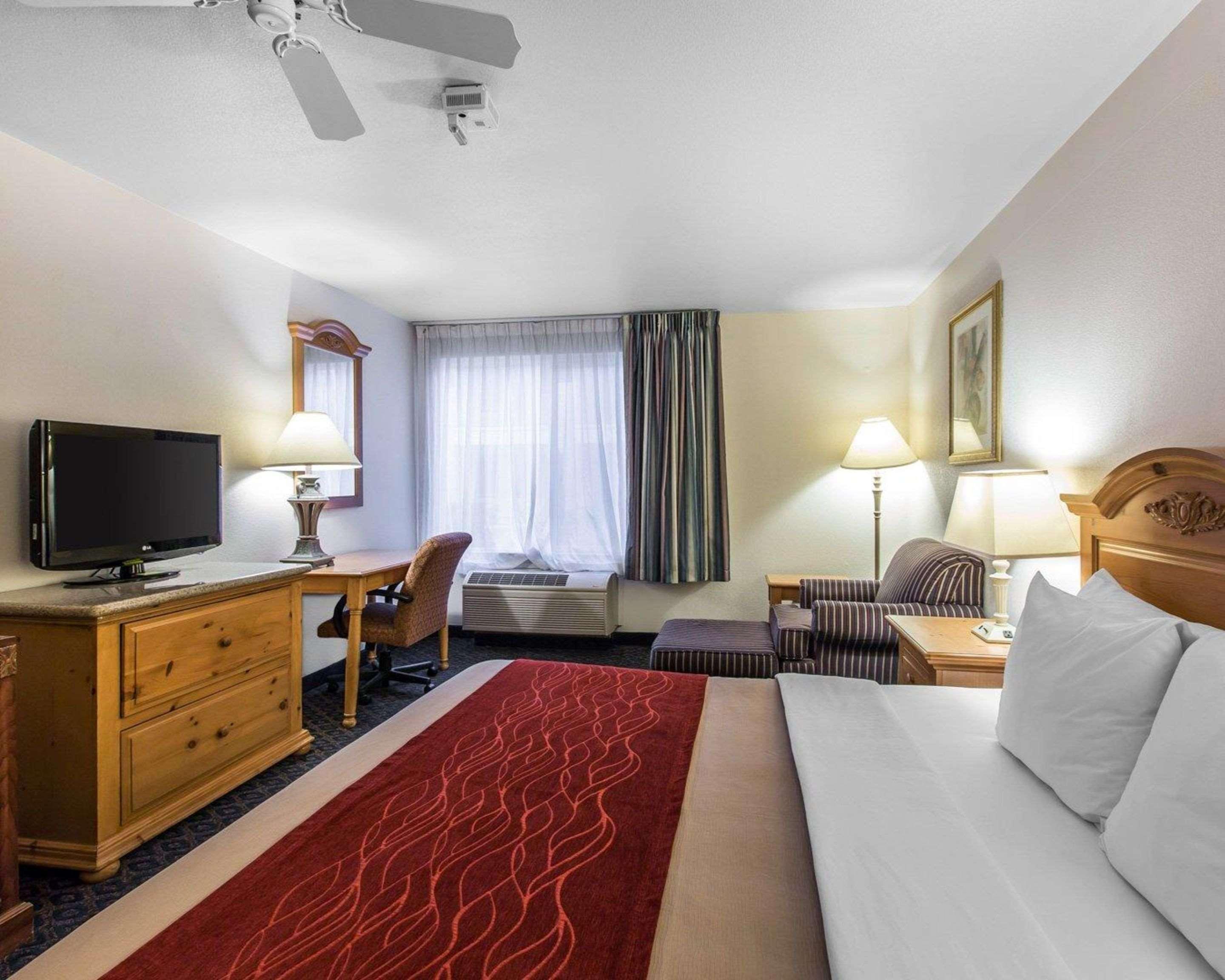 Room Accessible King Size Bed