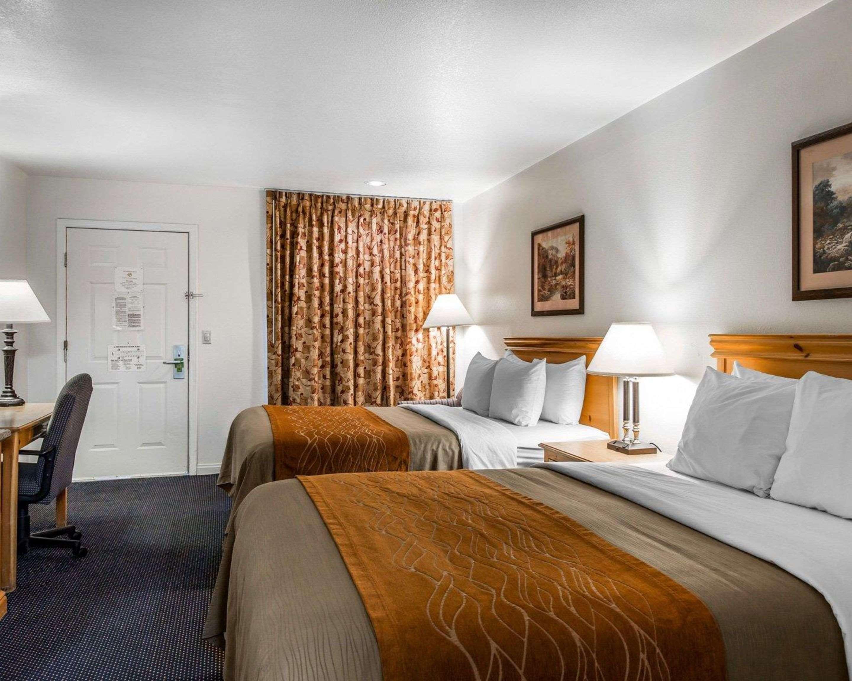 Room Accessible-two Queen Beds