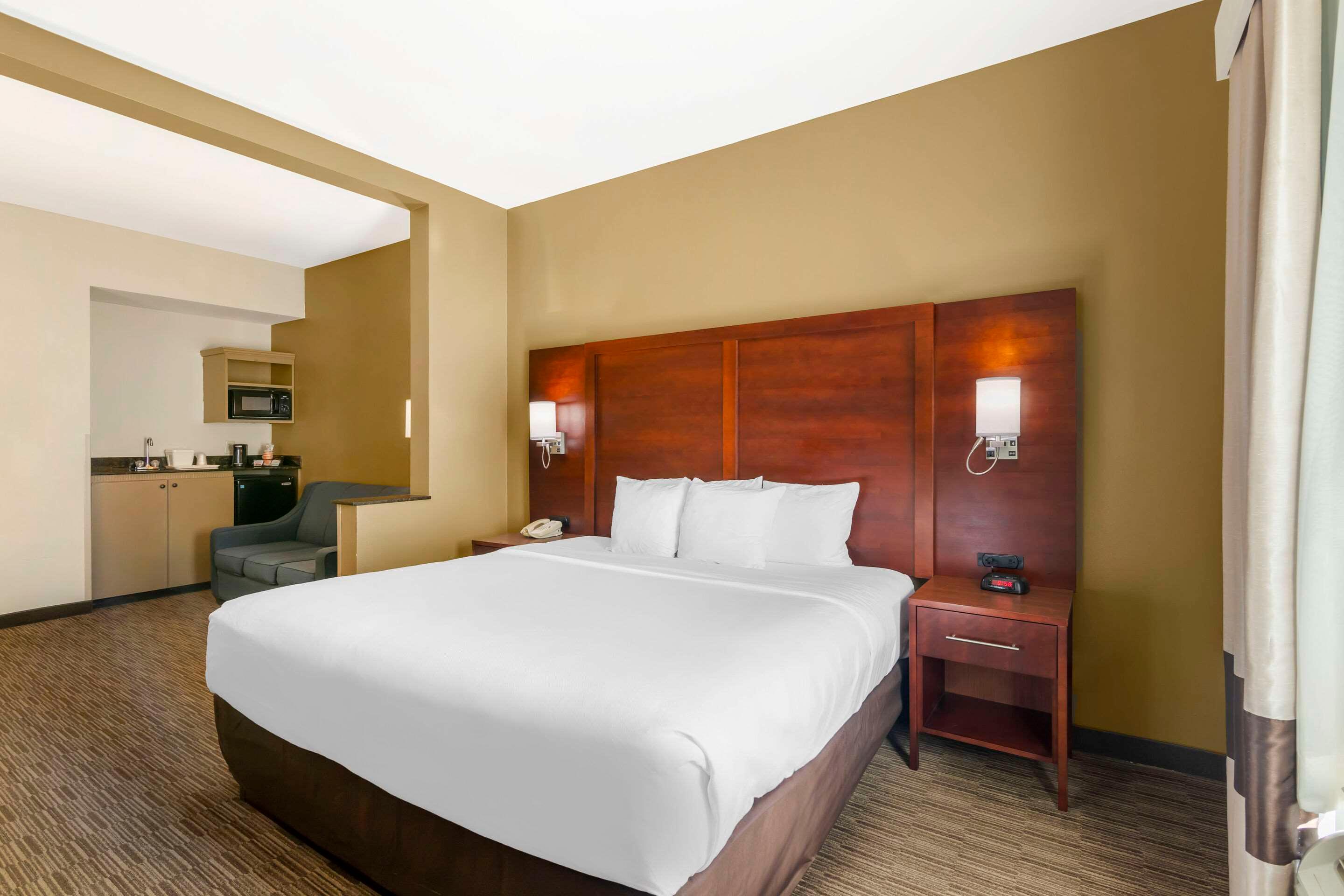 Suite King Bed Non Smoking