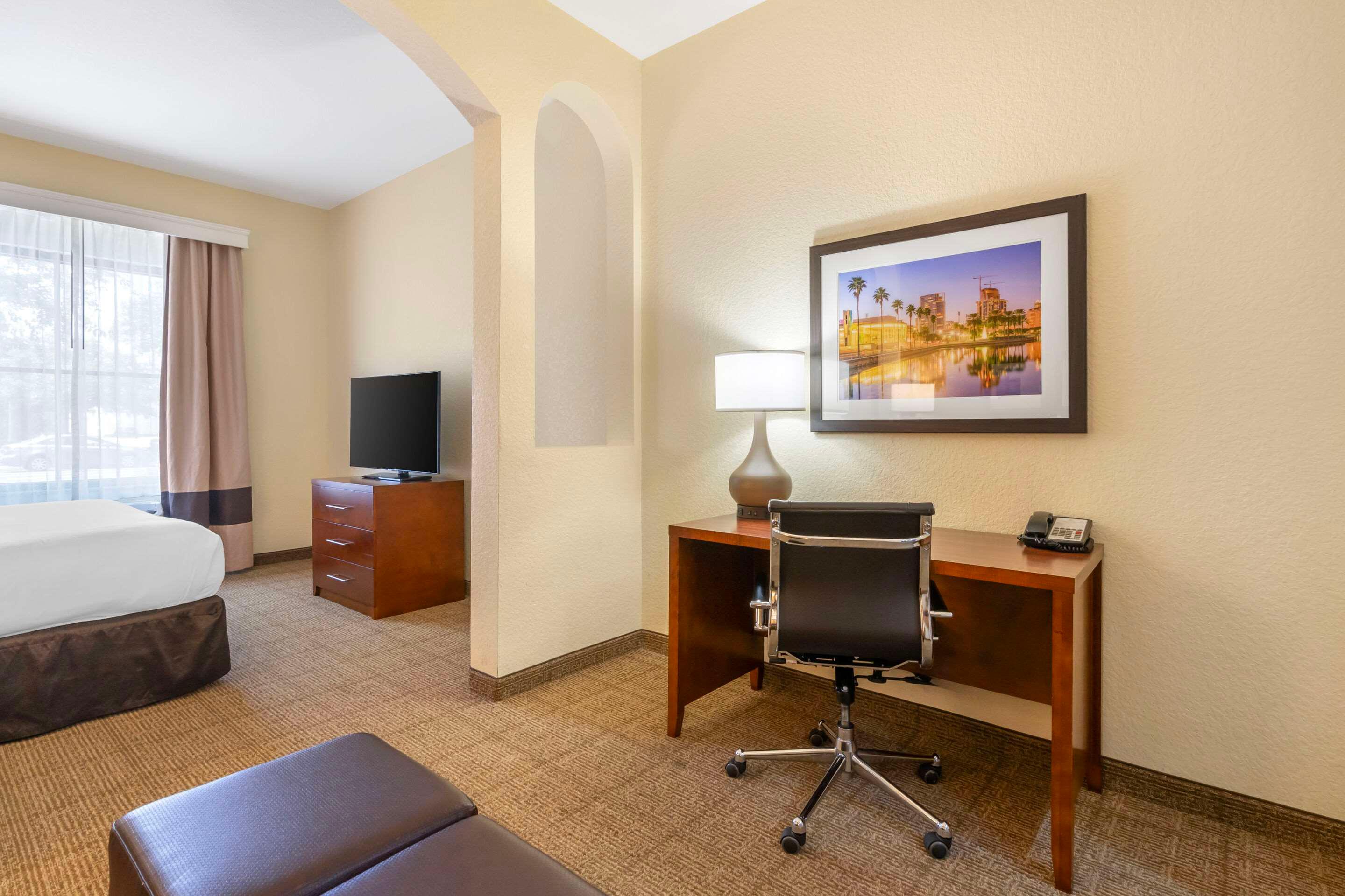 Suite King Bed Non Smoking