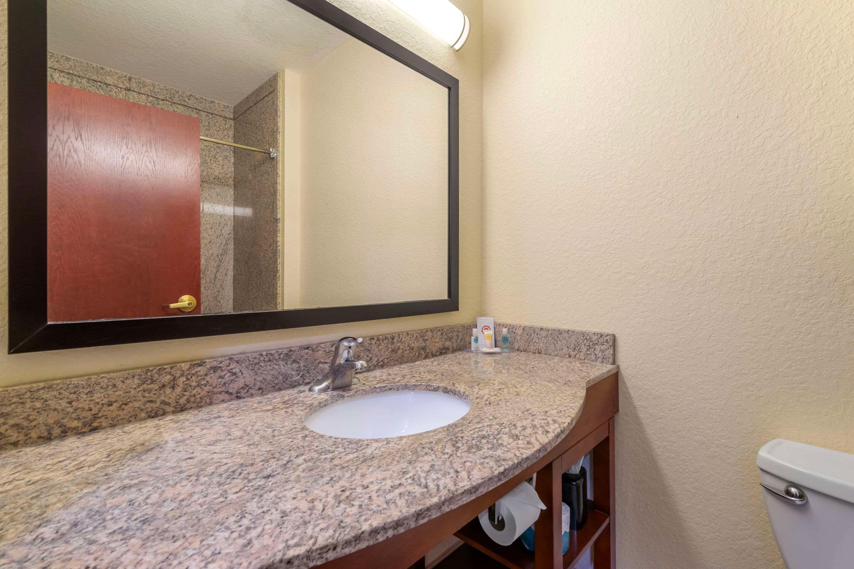 Suite King Bed Non Smoking