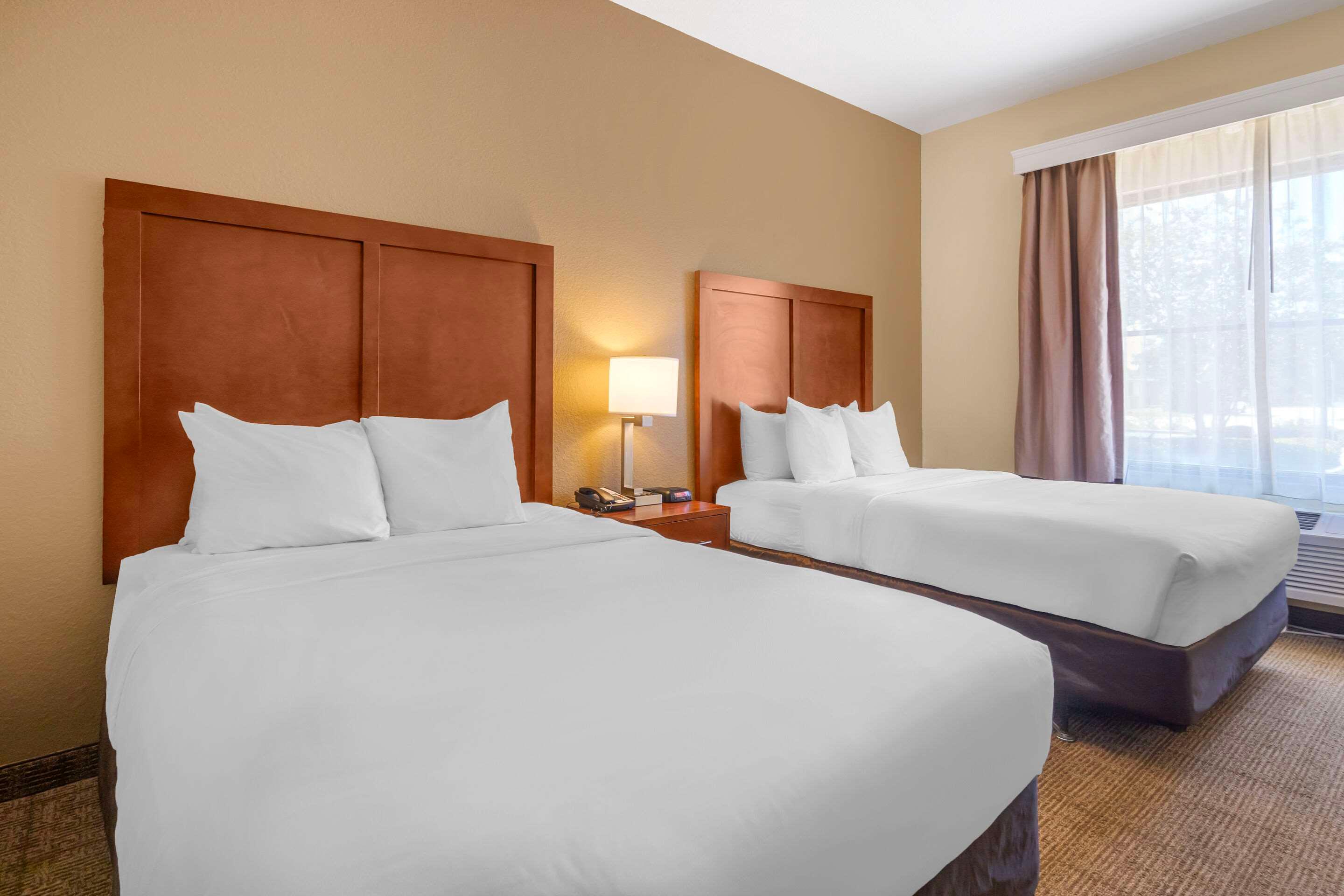 Double Two Queen Beds