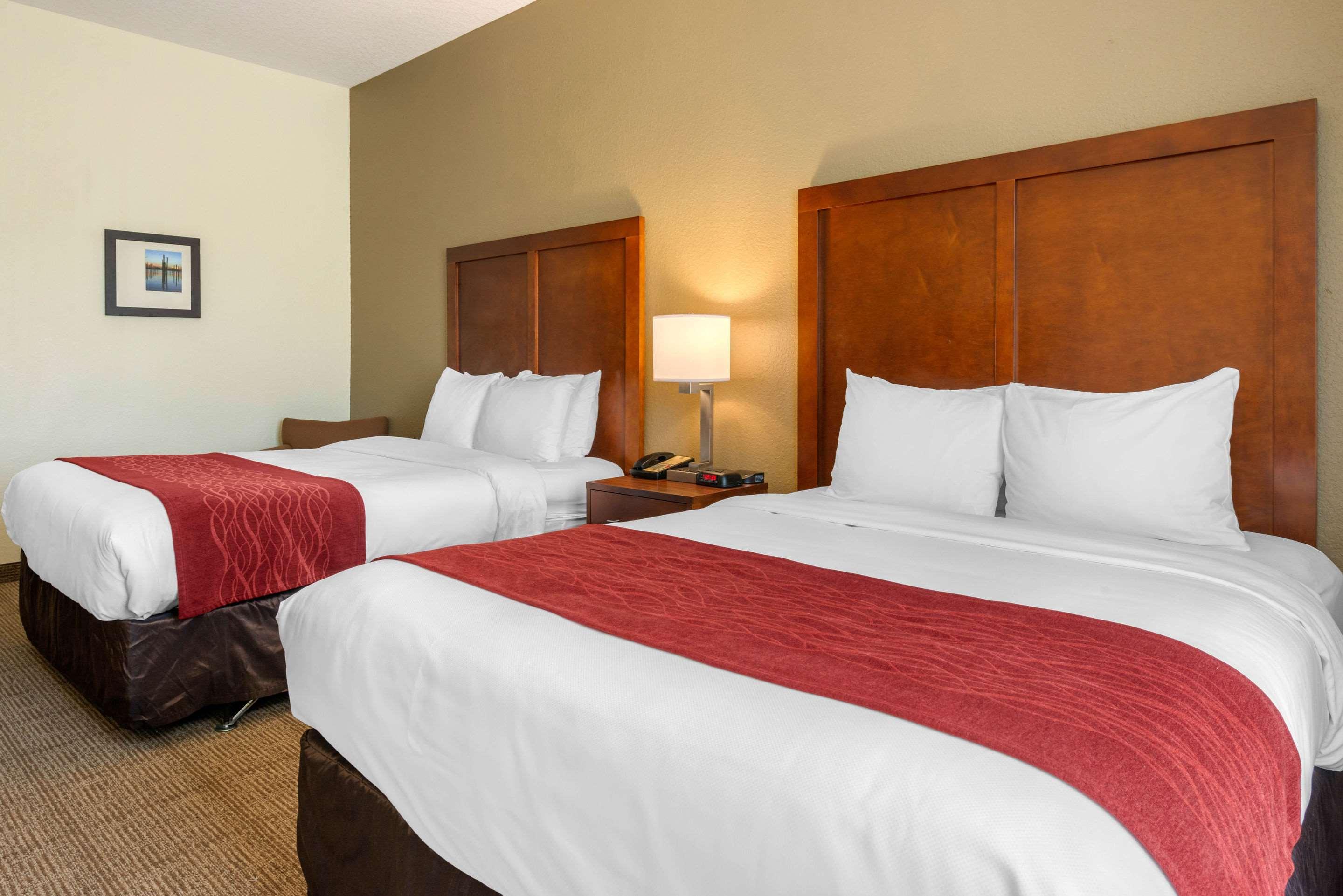 Double Two Queen Beds