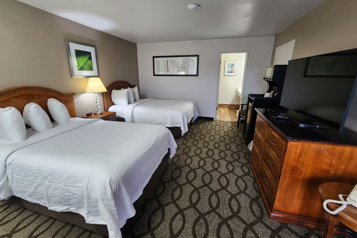 Double Two Queen Beds