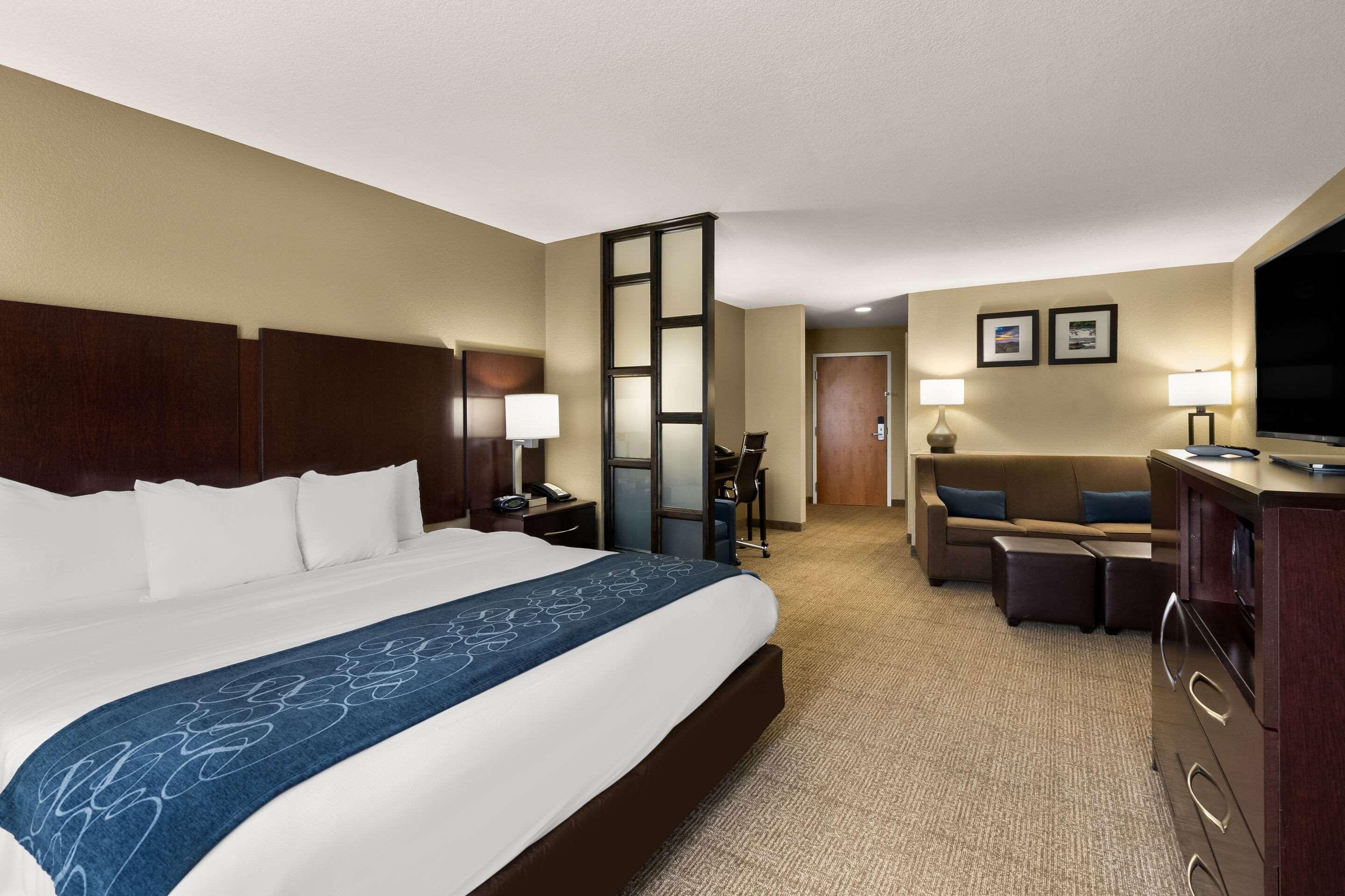 Suite King Bed Non Smoking