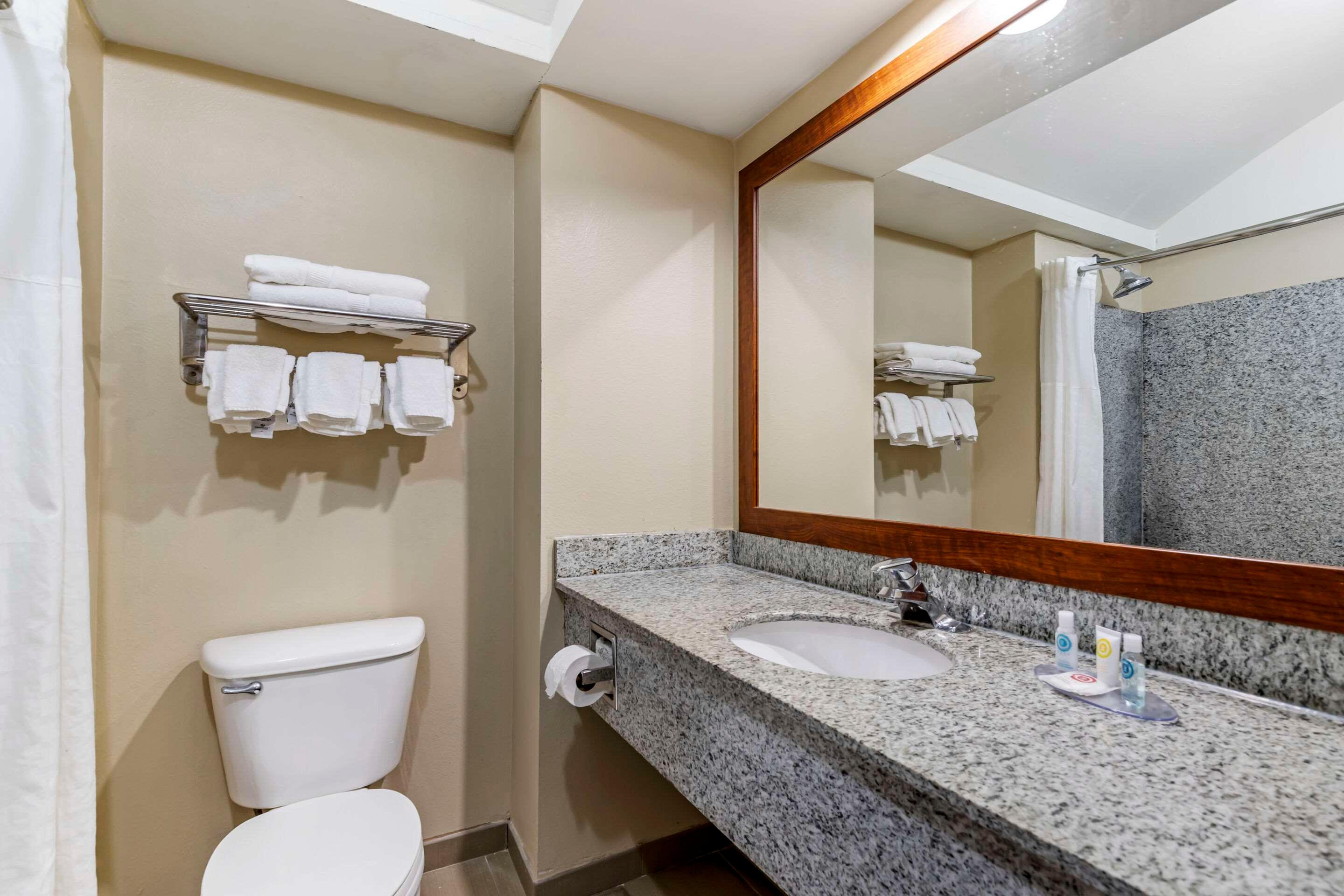 Suite King Bed Non Smoking