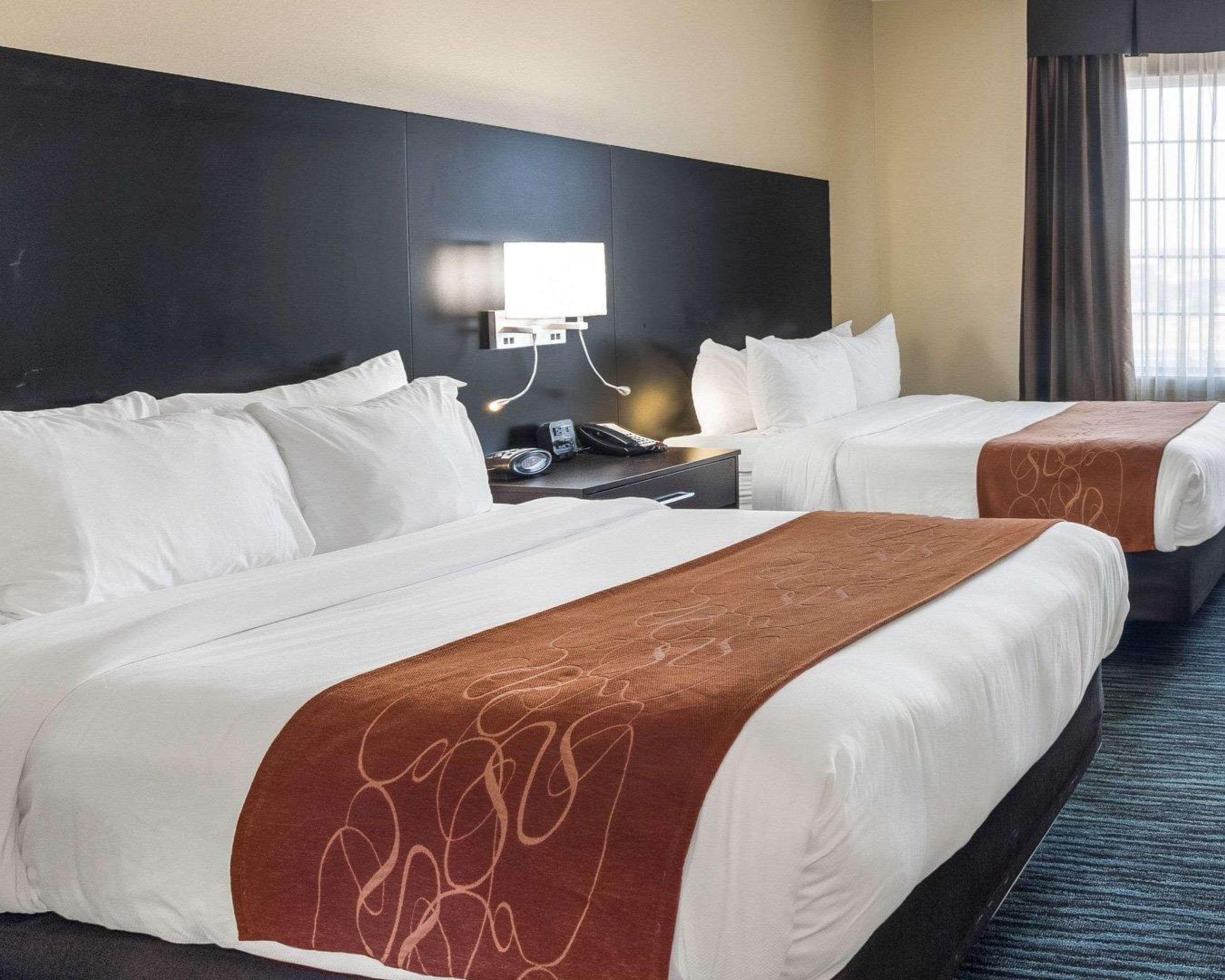 Suite Two Queen Beds