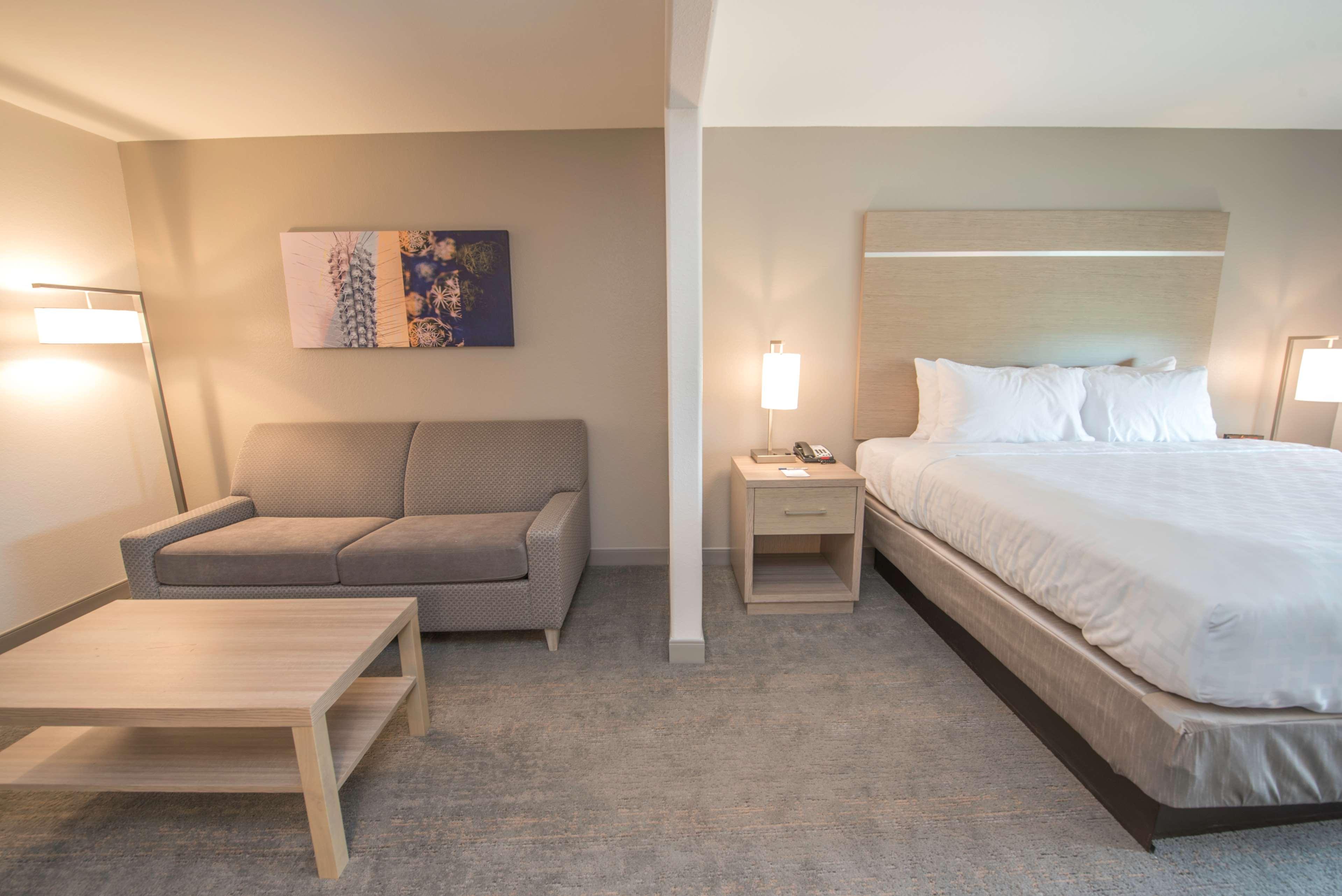 Suite King Bed Non Smoking