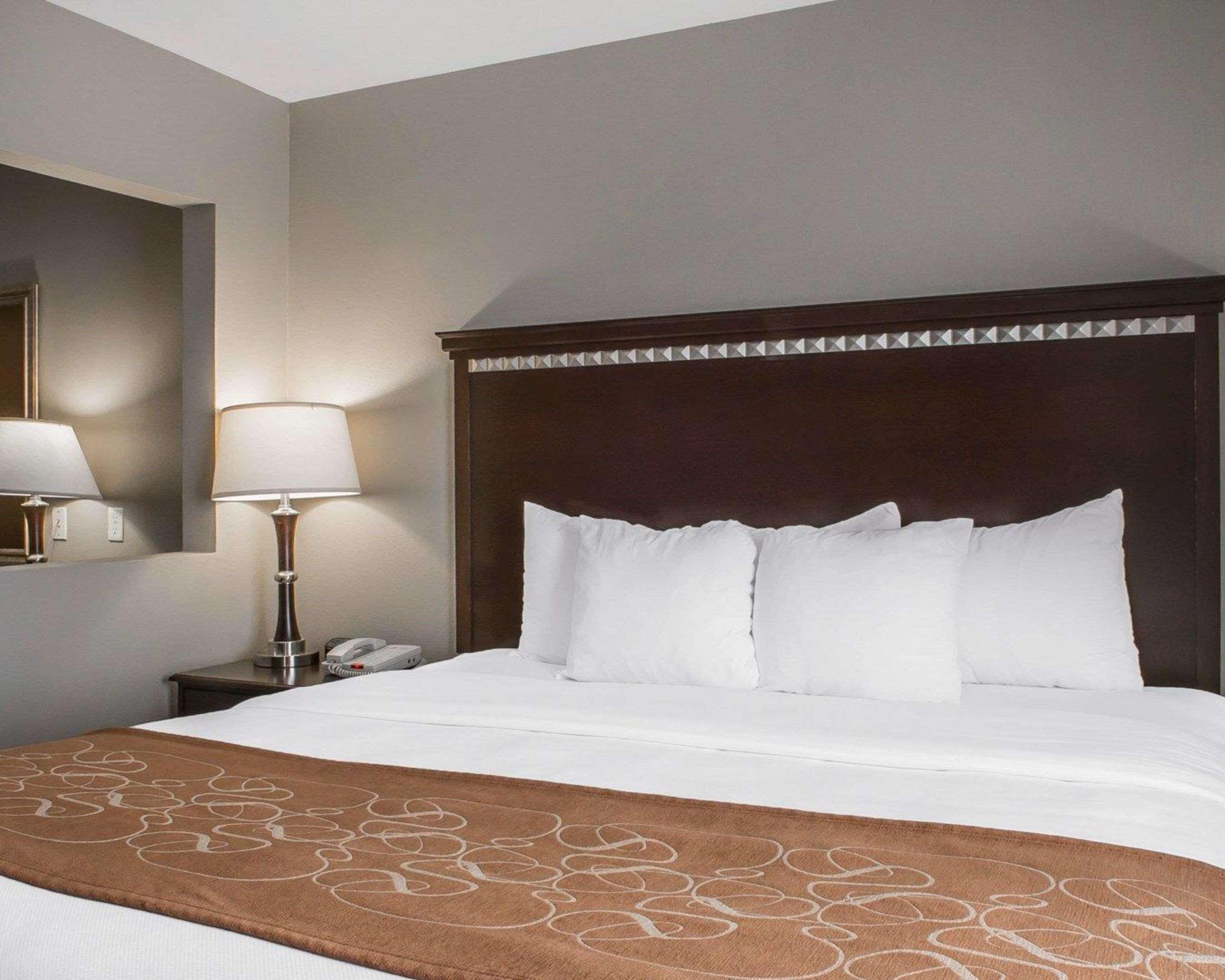 Suite King Bed Non Smoking