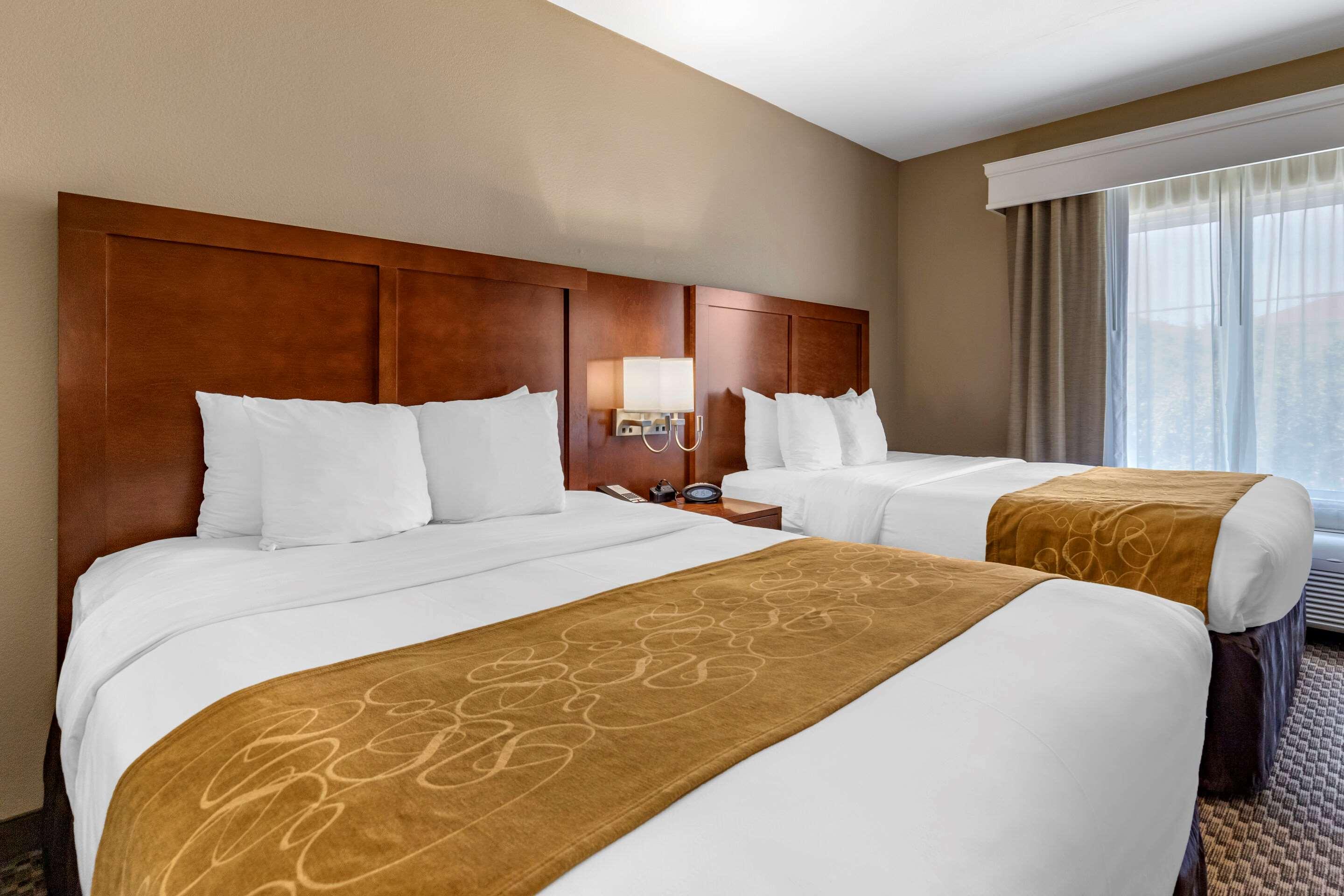 Suite Two Queen Beds Non Smoking