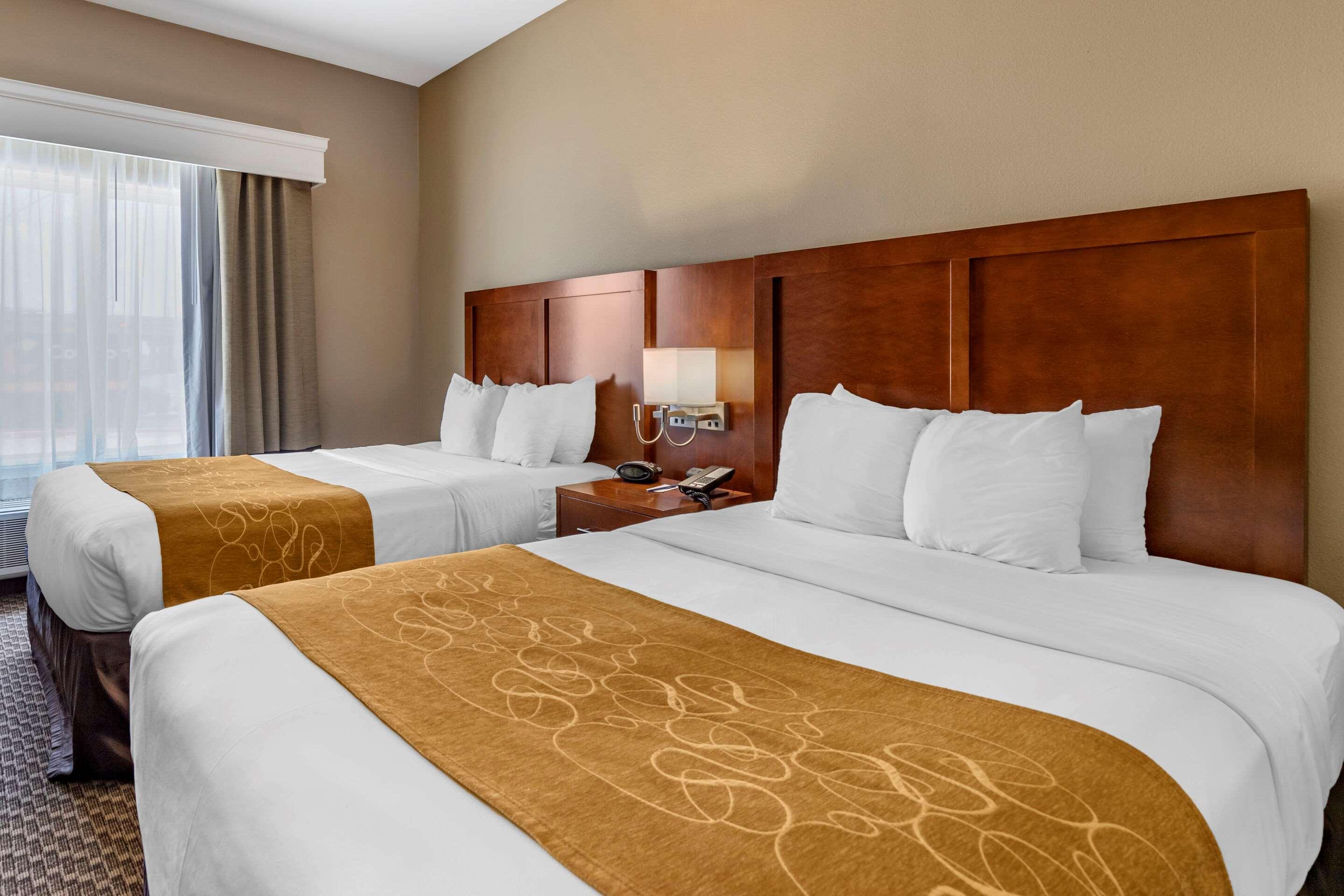 Suite Two Queen Beds