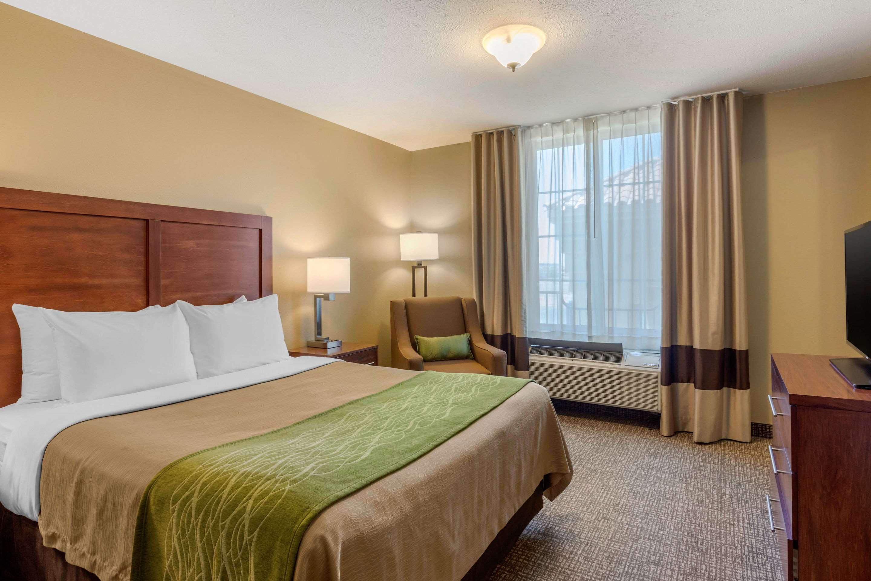 Suite King Bed Non Smoking