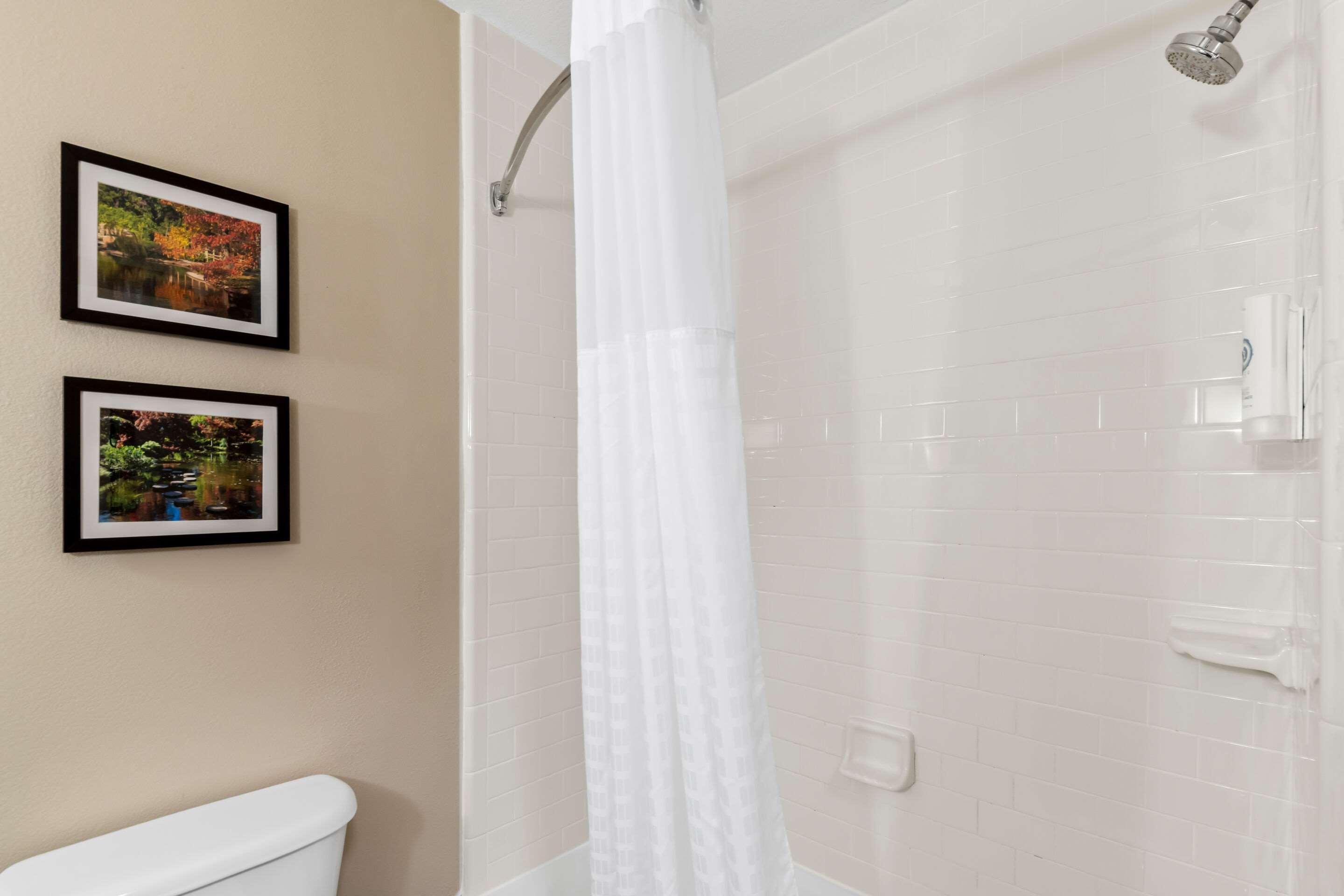 Suite King Bed Non Smoking