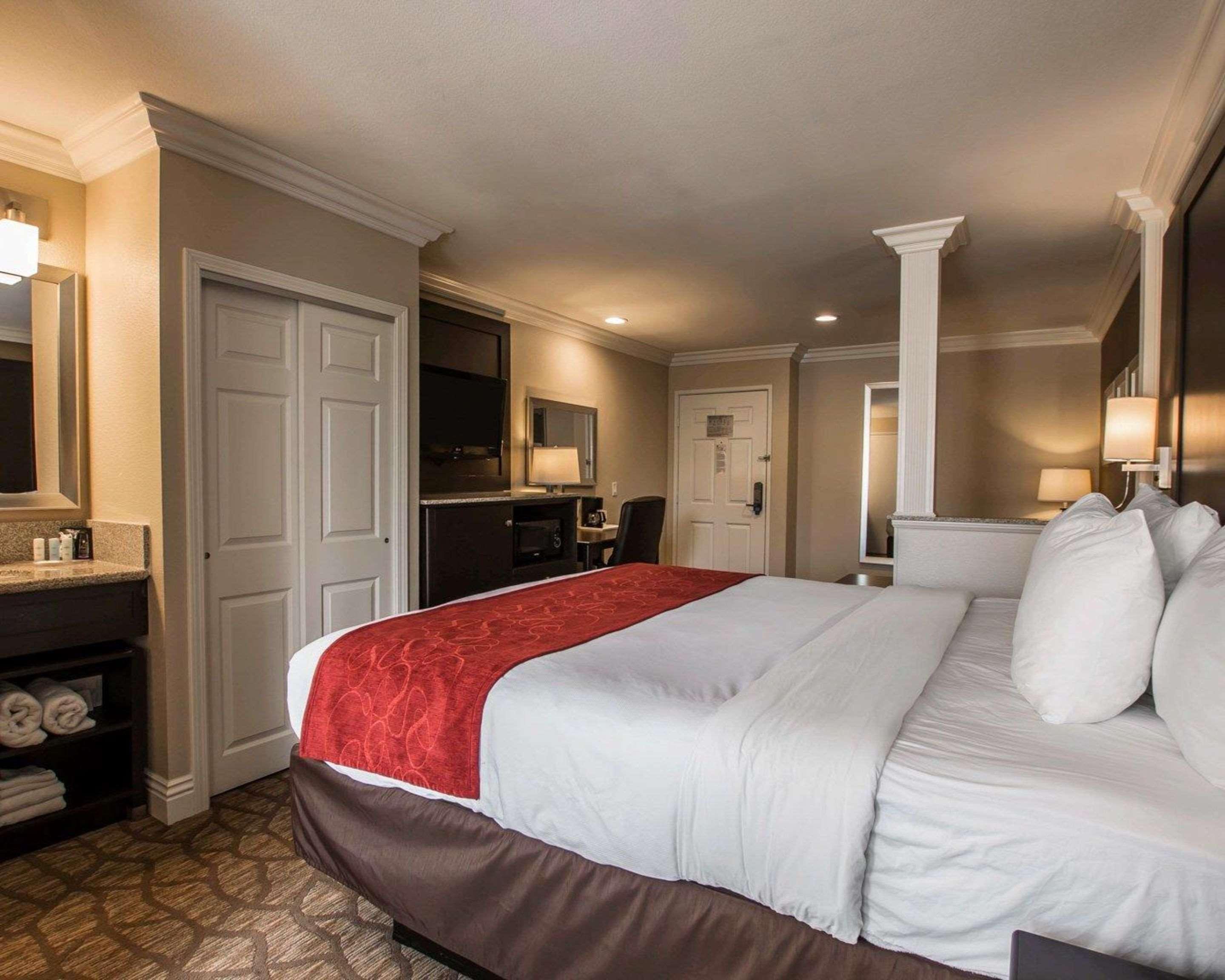 Suite King Bed Non Smoking