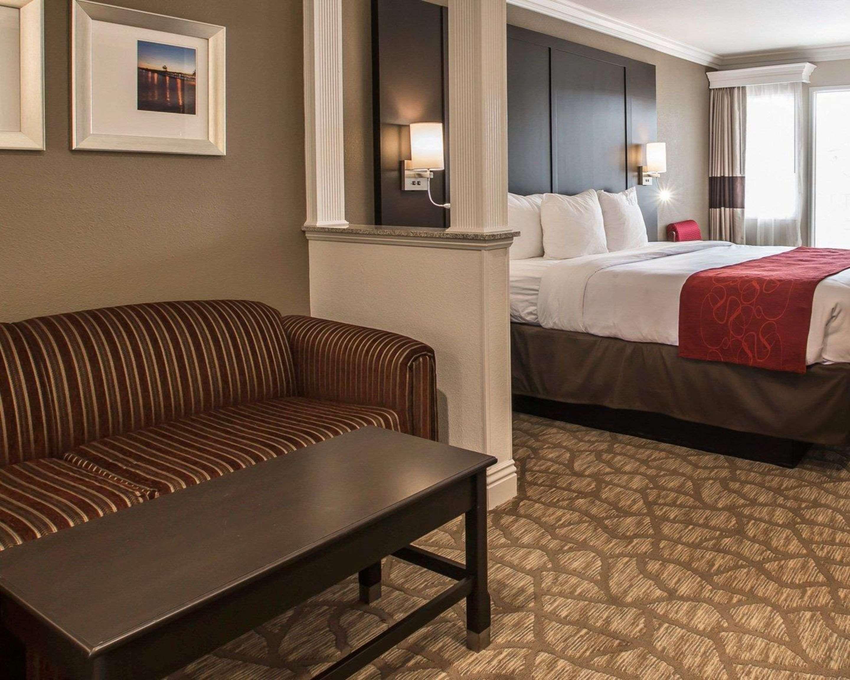 Suite King Bed Non Smoking